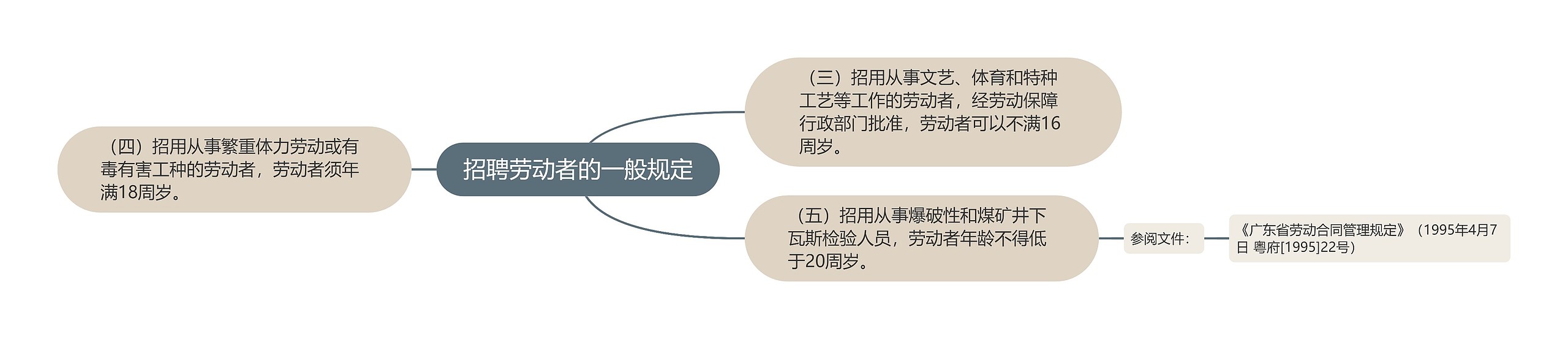 招聘劳动者的一般规定思维导图