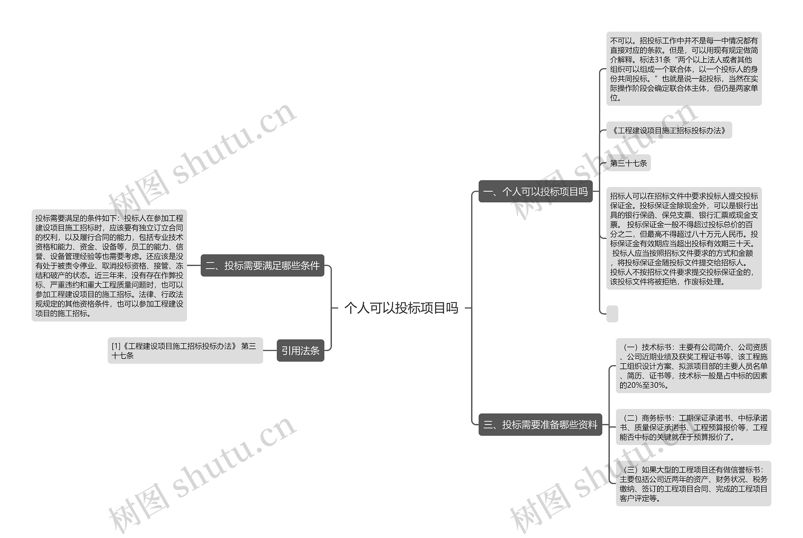 个人可以投标项目吗思维导图