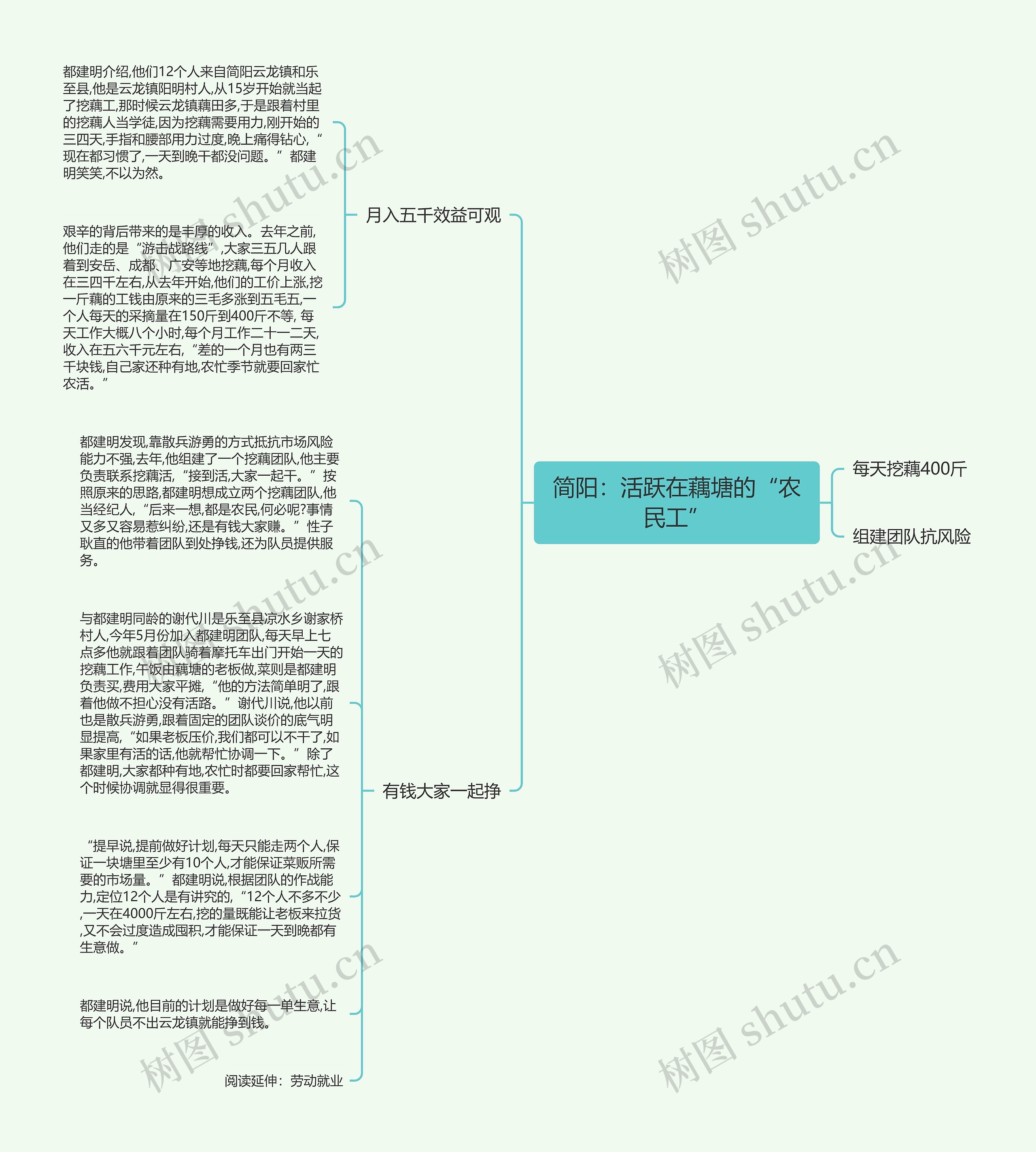 简阳：活跃在藕塘的“农民工”