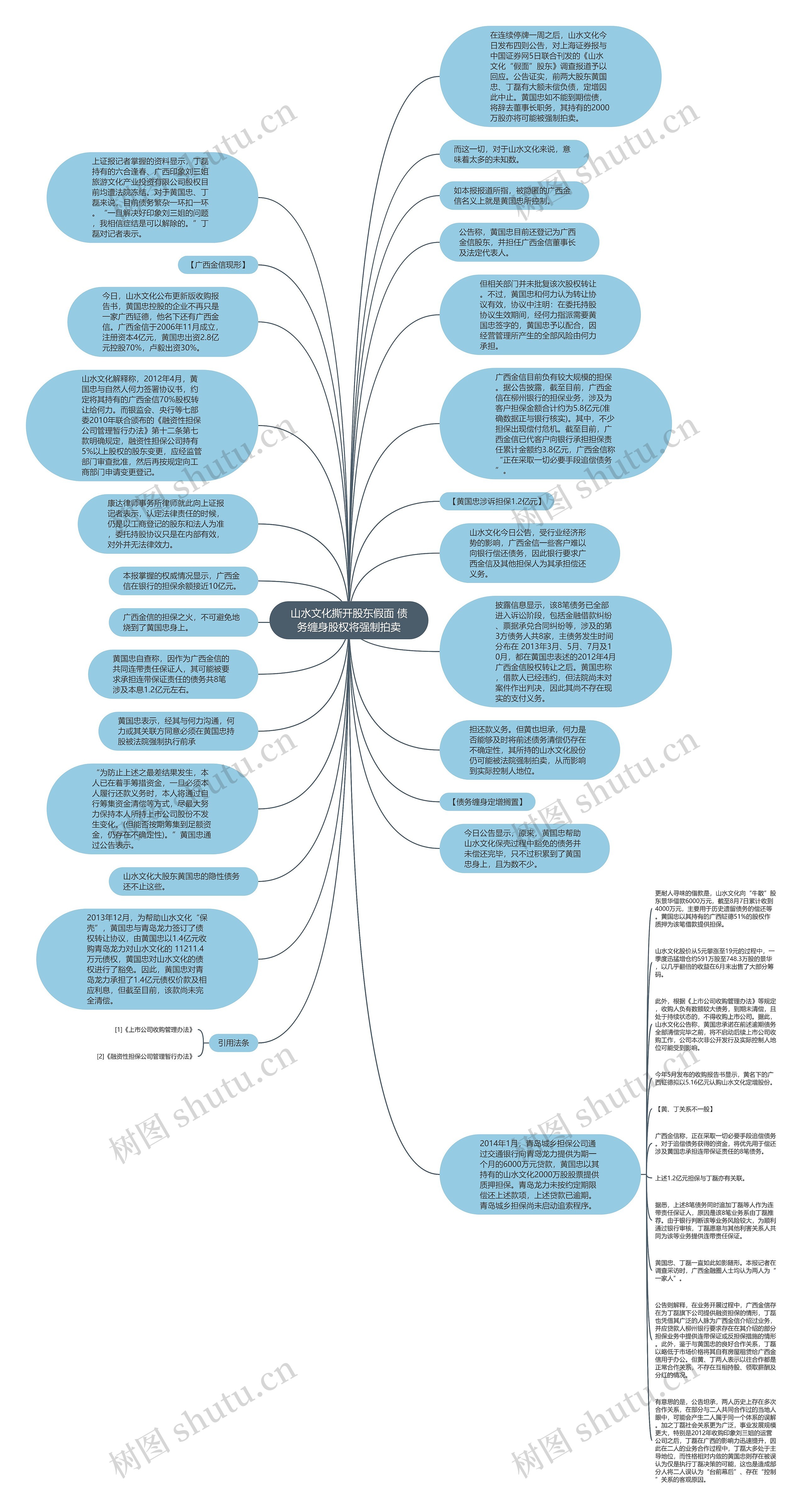 山水文化撕开股东假面 债务缠身股权将强制拍卖思维导图