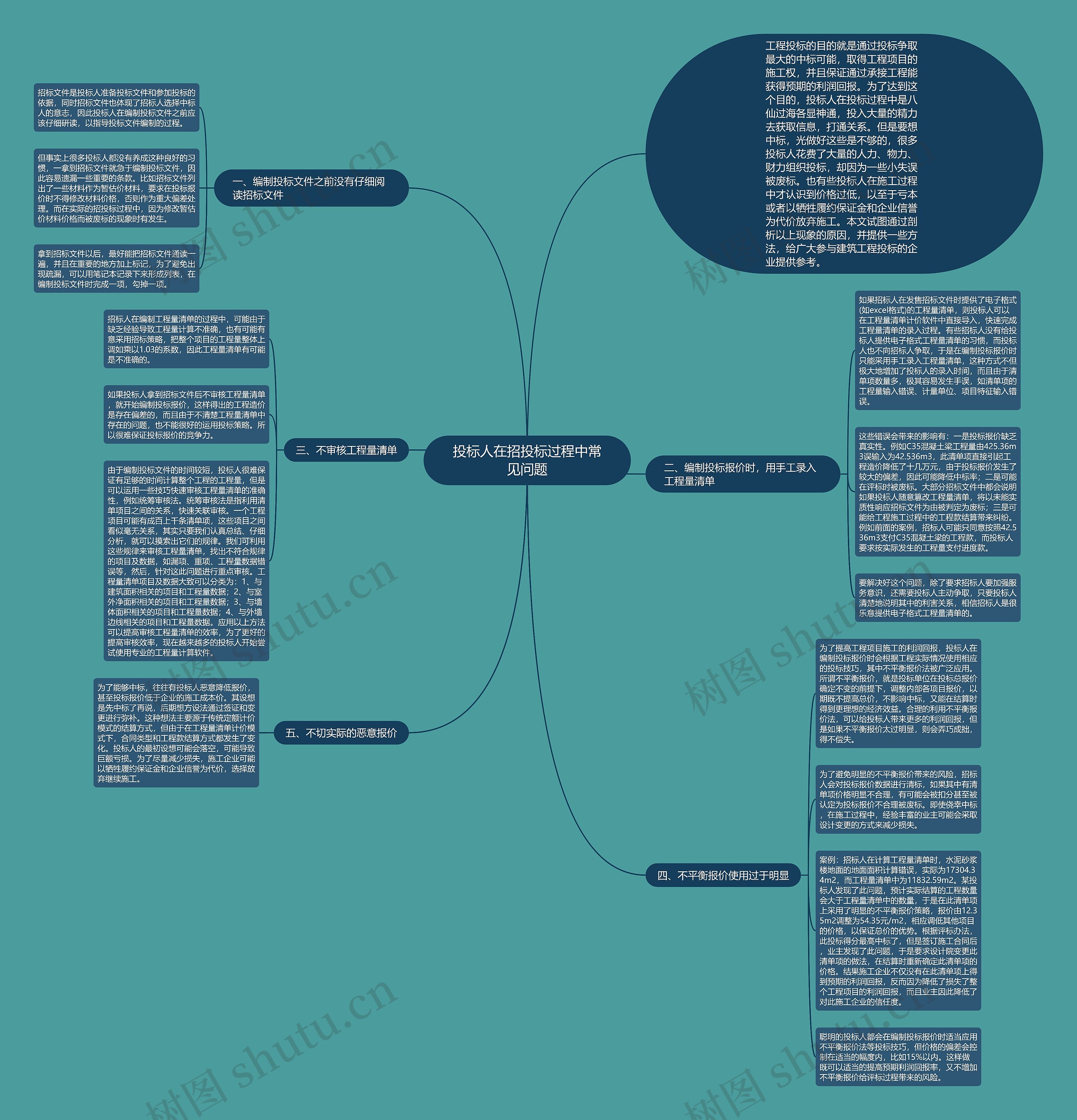 投标人在招投标过程中常见问题思维导图
