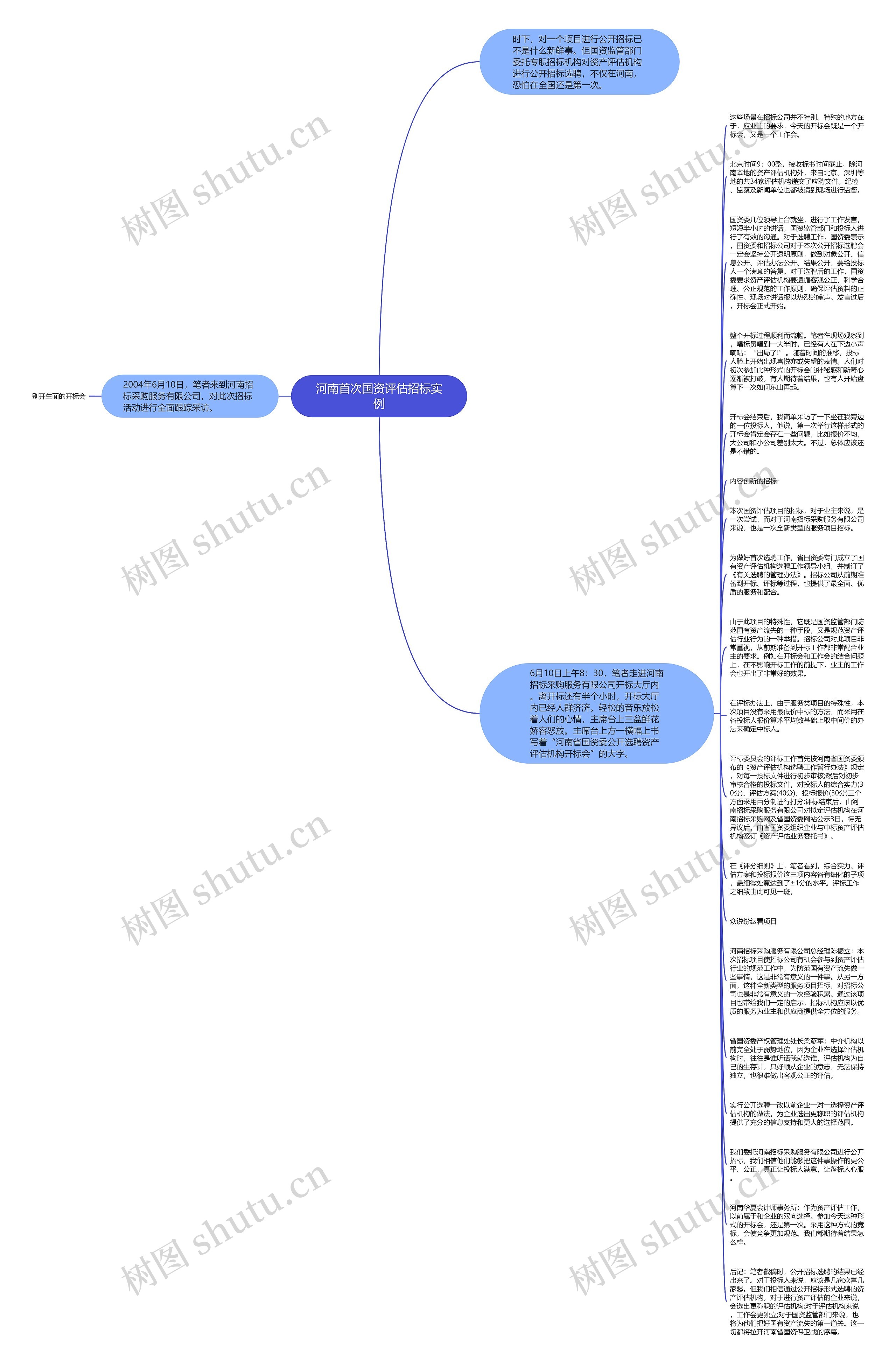 河南首次国资评估招标实例思维导图