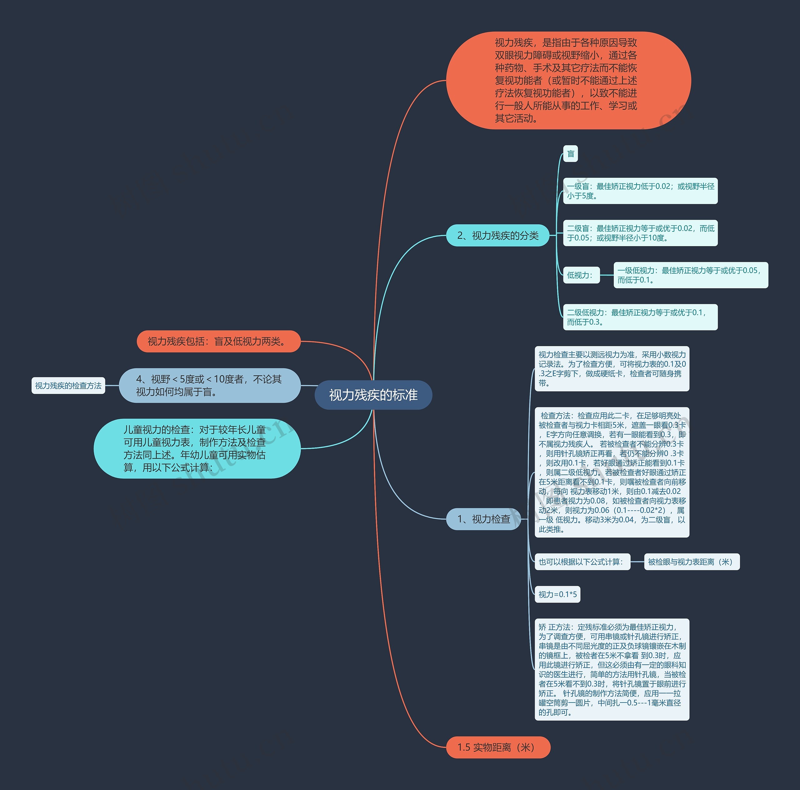 视力残疾的标准思维导图