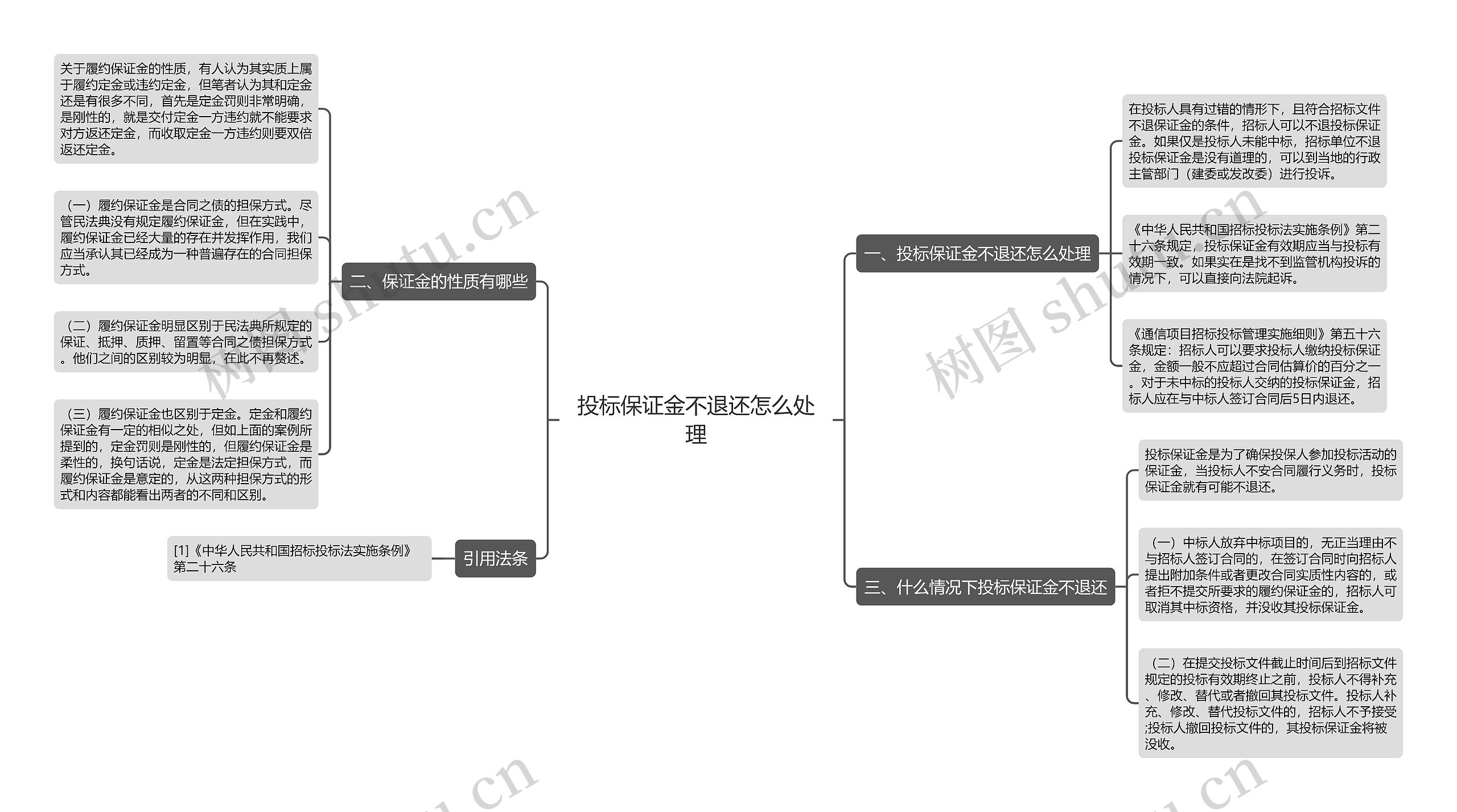 投标保证金不退还怎么处理思维导图