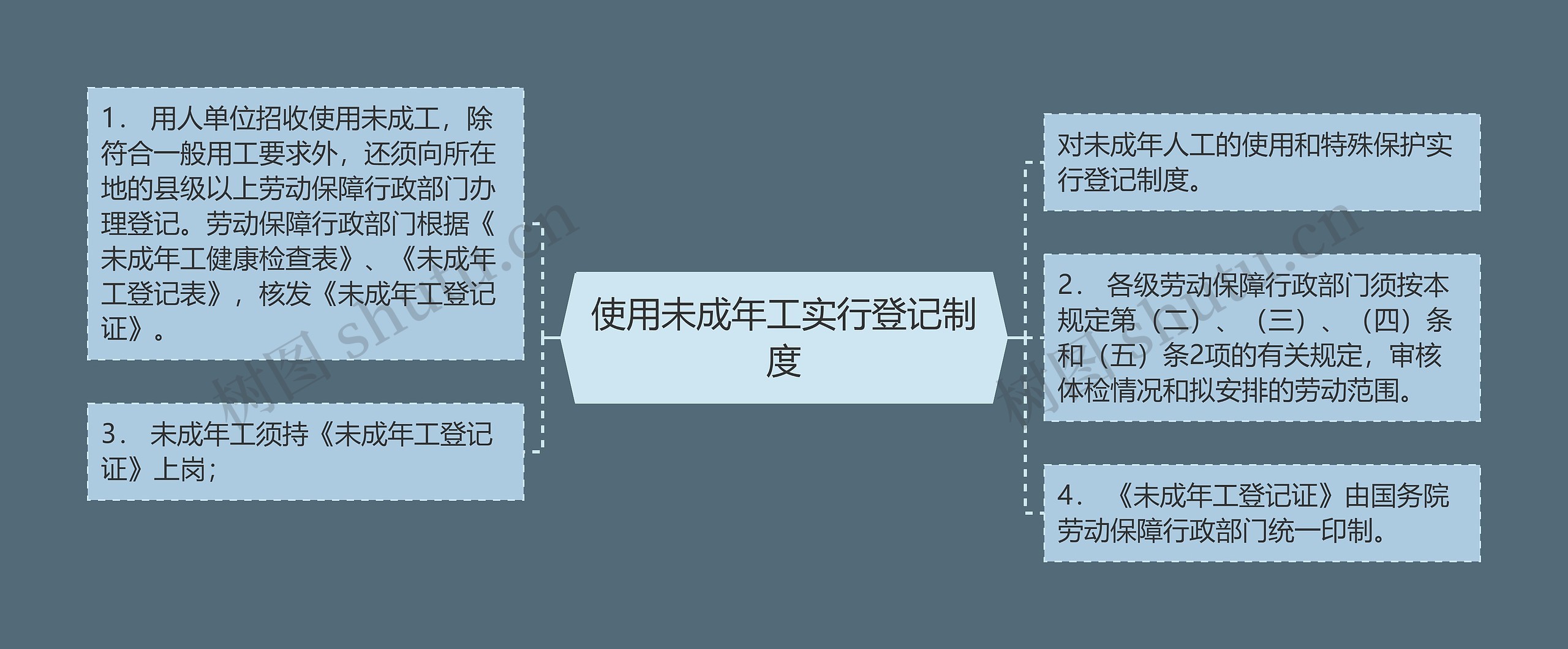 使用未成年工实行登记制度思维导图