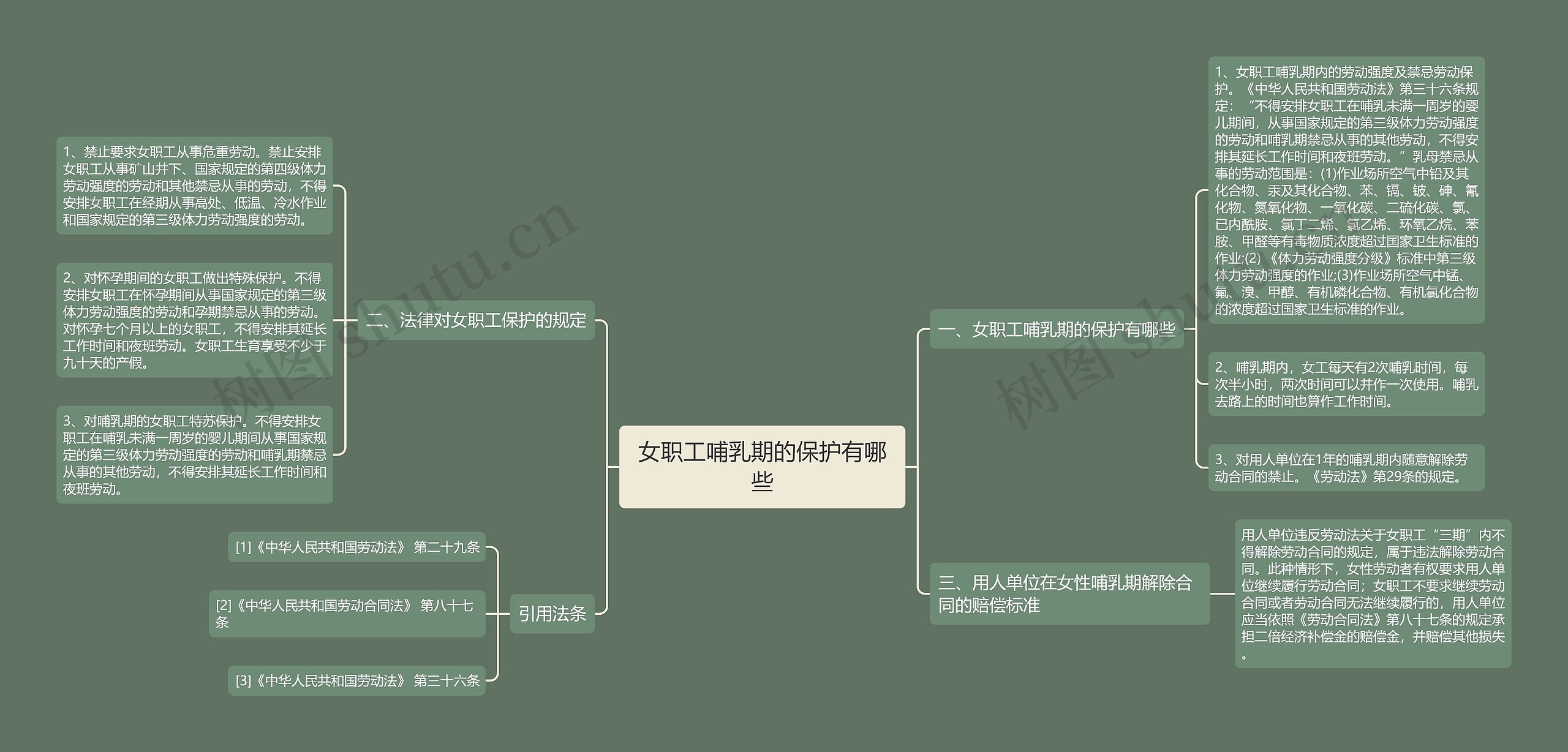 女职工哺乳期的保护有哪些思维导图