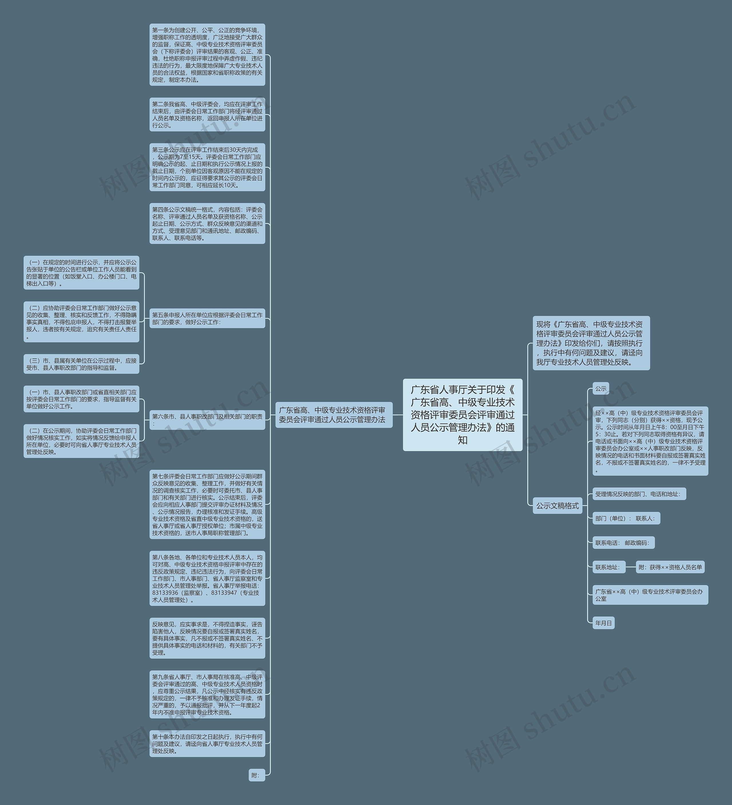 广东省人事厅关于印发《广东省高、中级专业技术资格评审委员会评审通过人员公示管理办法》的通知思维导图