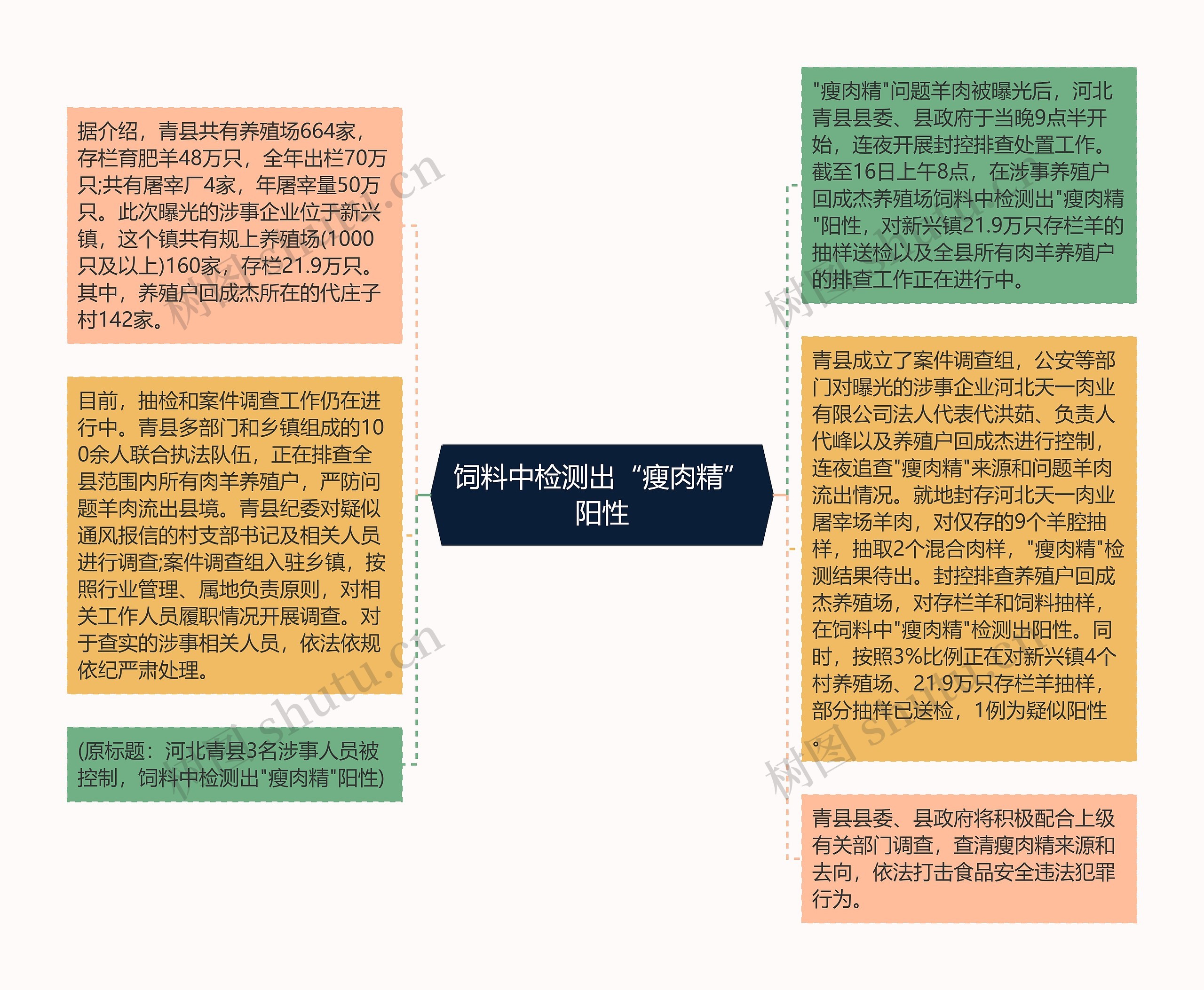 饲料中检测出“瘦肉精”阳性思维导图