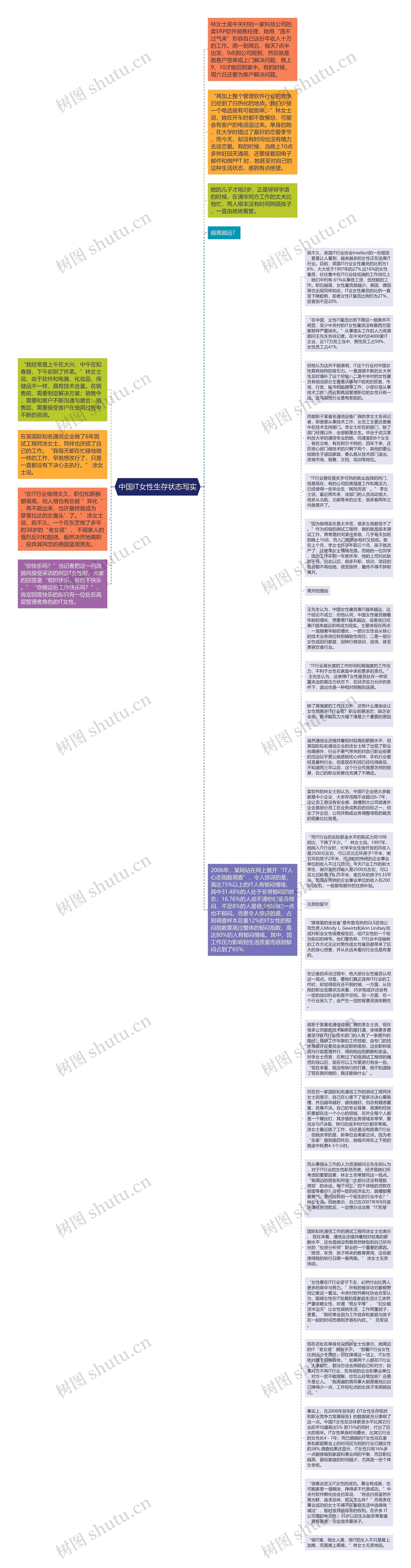 中国IT女性生存状态写实思维导图