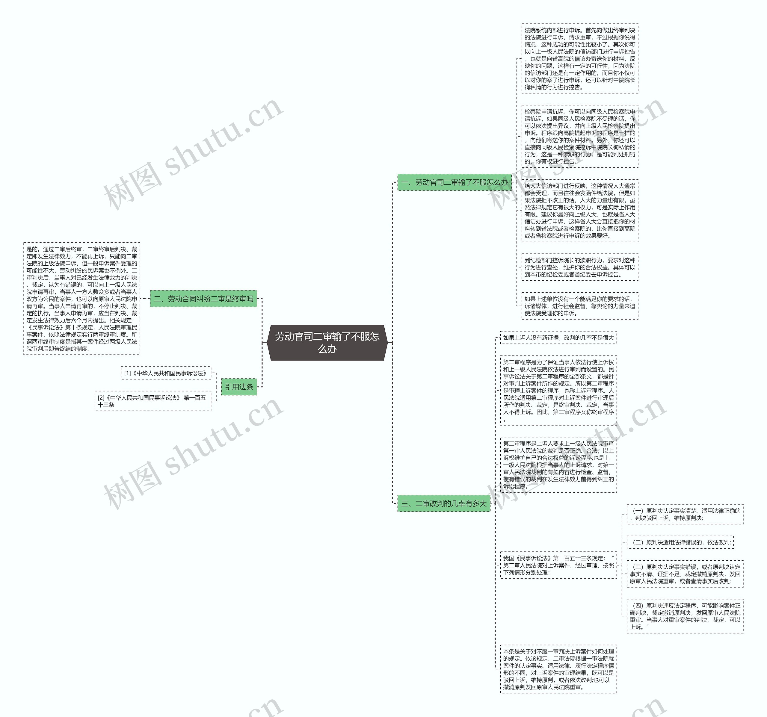 劳动官司二审输了不服怎么办思维导图