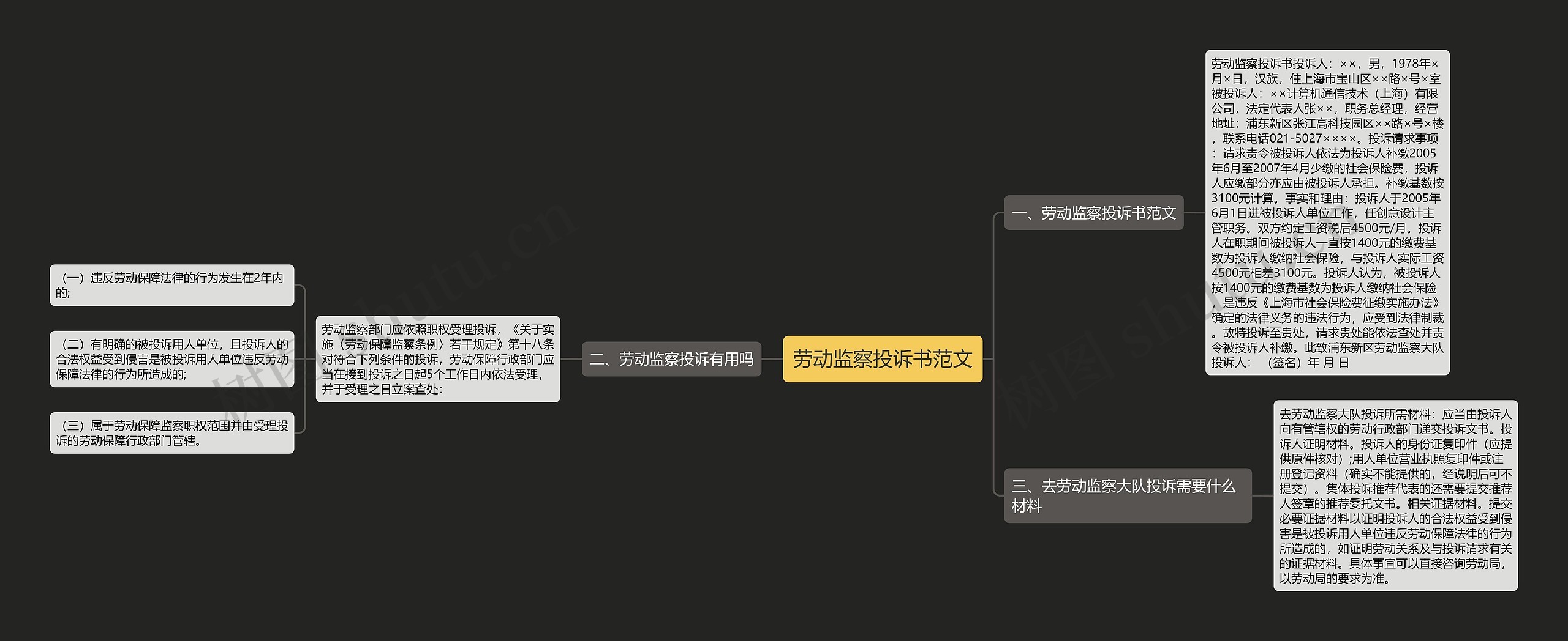 劳动监察投诉书范文