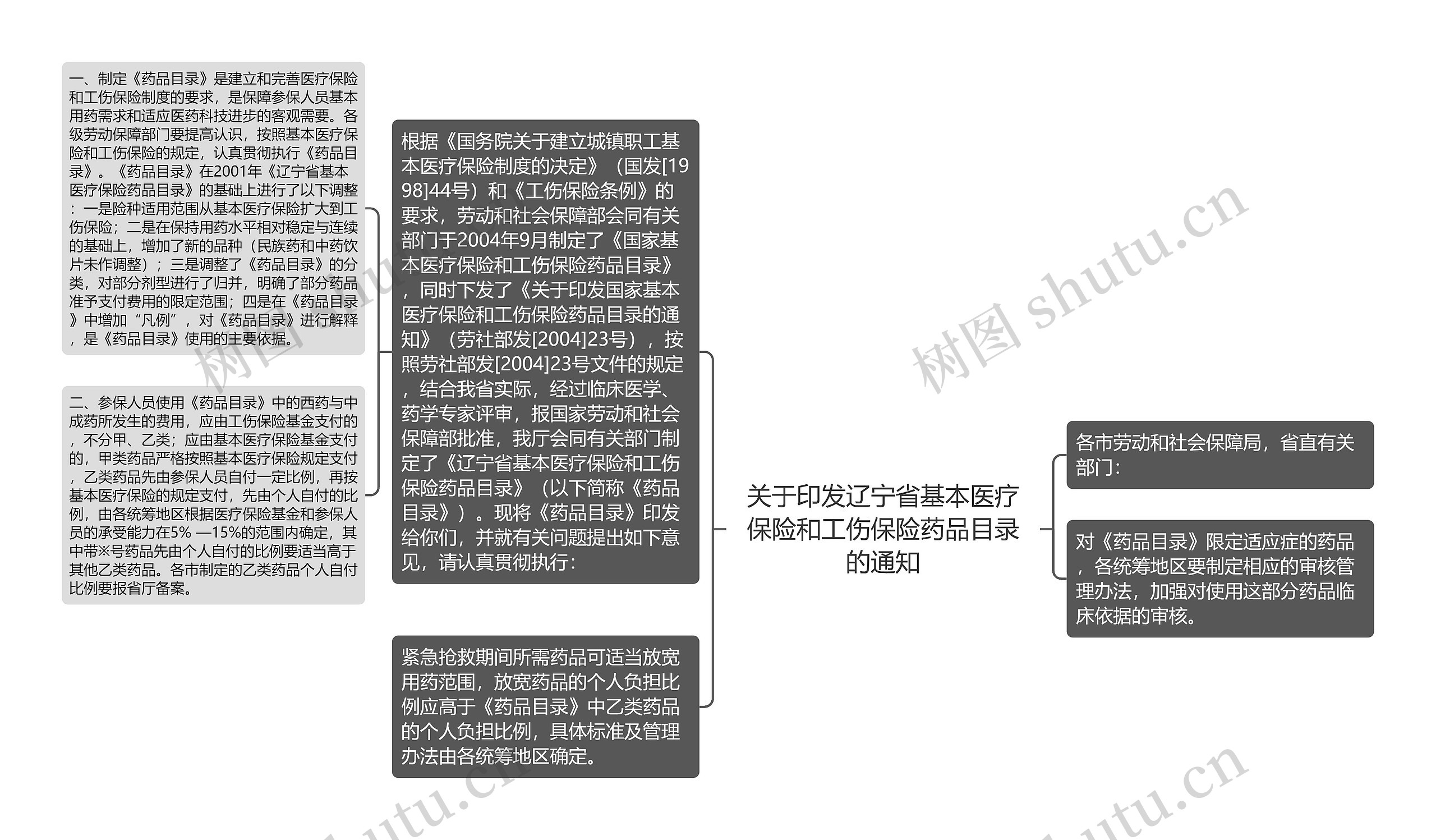 关于印发辽宁省基本医疗保险和工伤保险药品目录的通知思维导图