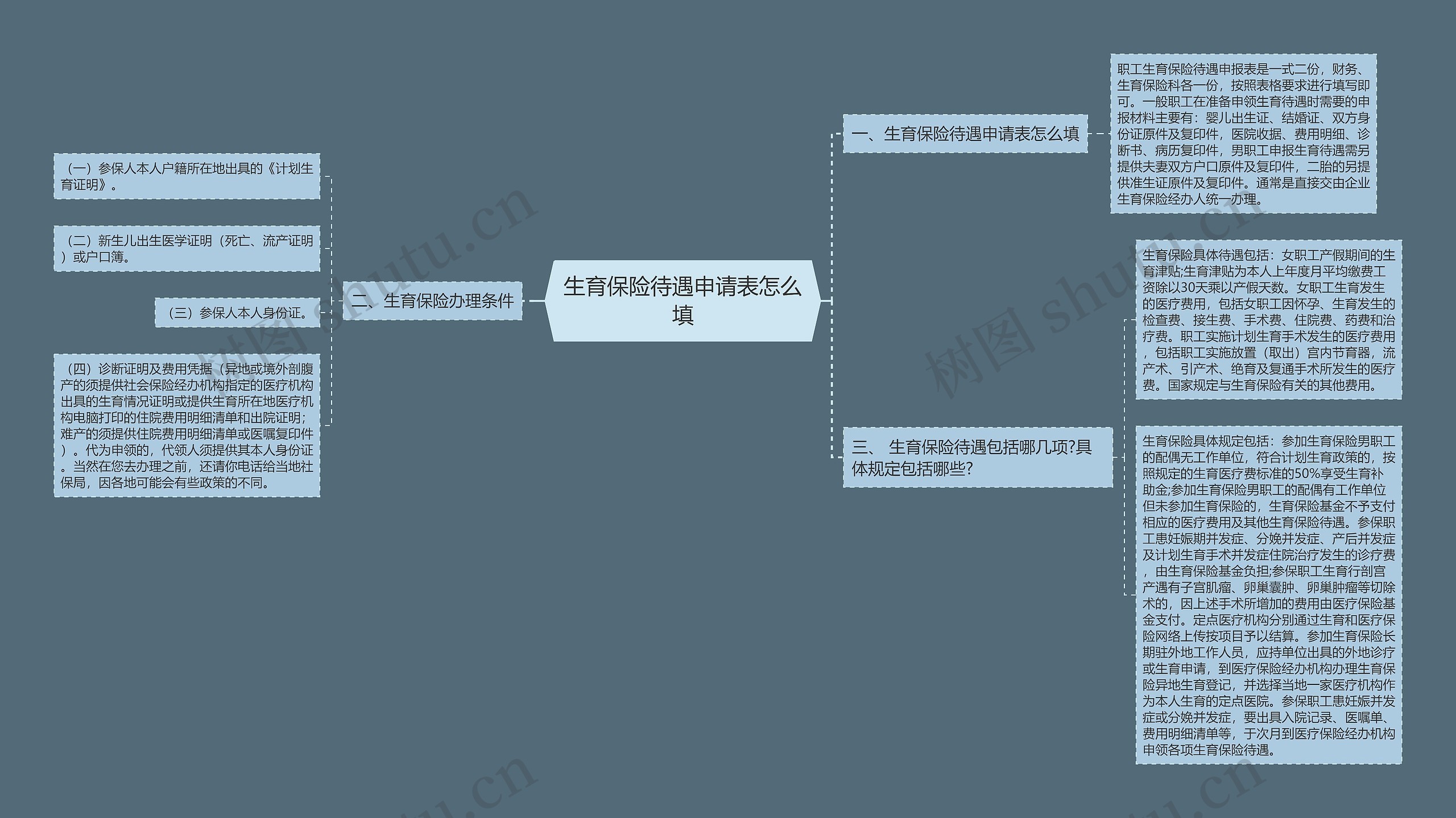 生育保险待遇申请表怎么填思维导图