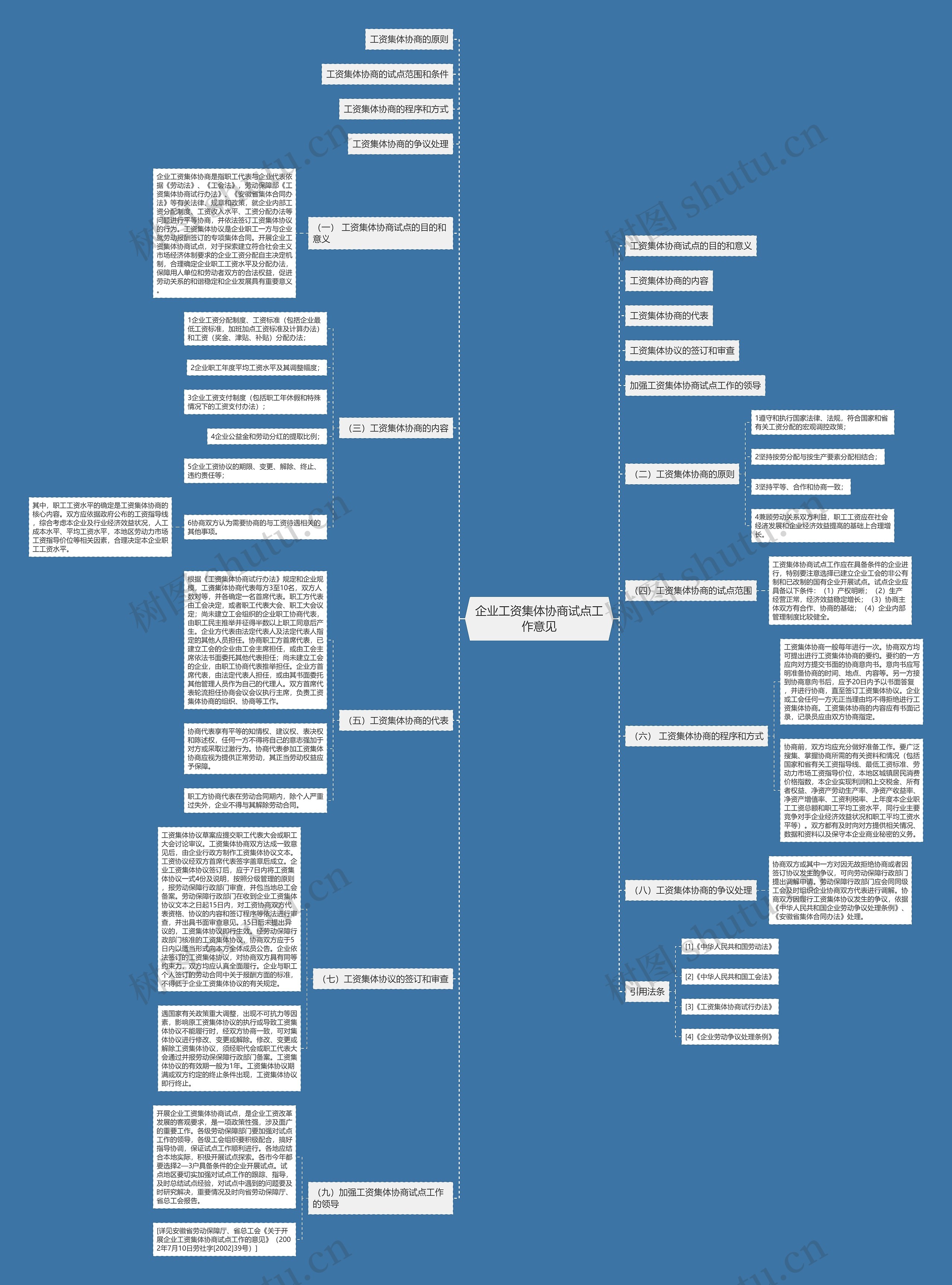 企业工资集体协商试点工作意见思维导图