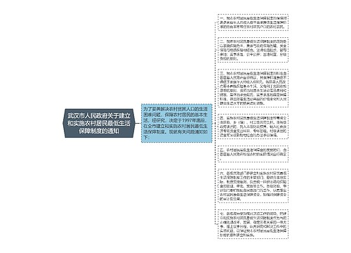 武汉市人民政府关于建立和实施农村居民最低生活保障制度的通知