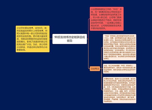 90后发微博泄密被辞退成被告