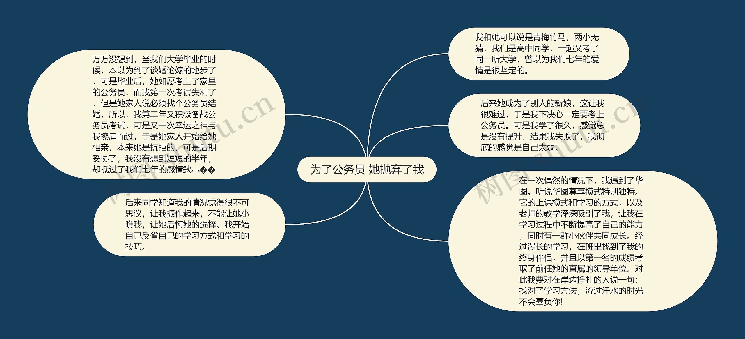 为了公务员 她抛弃了我思维导图