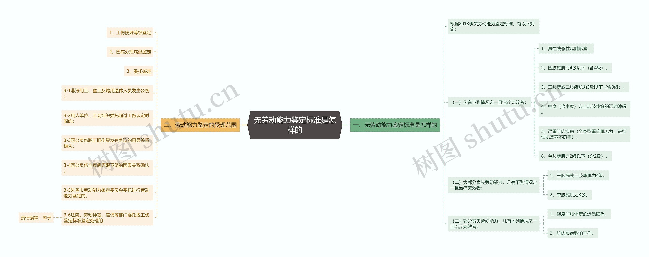 无劳动能力鉴定标准是怎样的