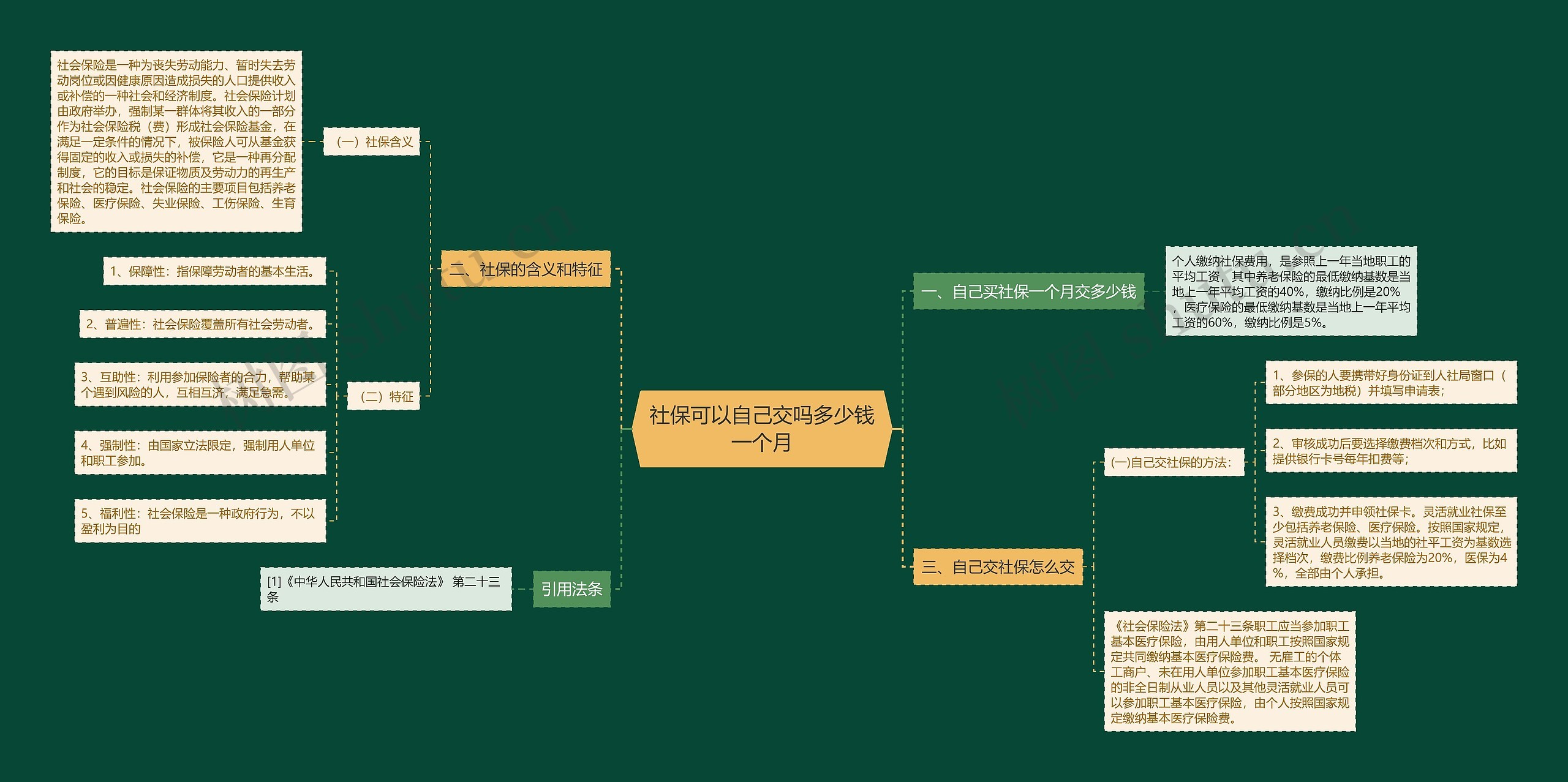 社保可以自己交吗多少钱一个月思维导图