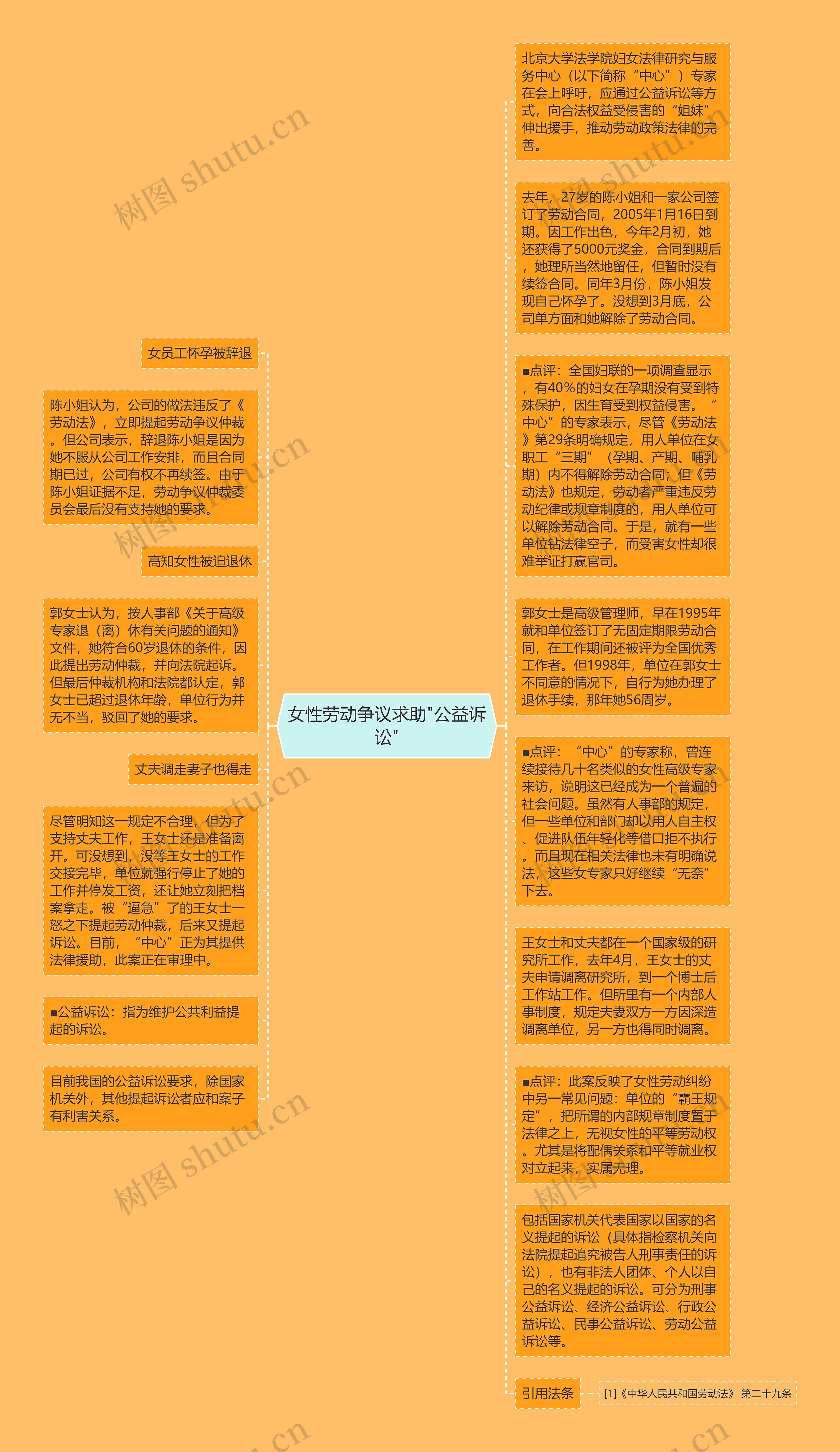 女性劳动争议求助"公益诉讼"思维导图