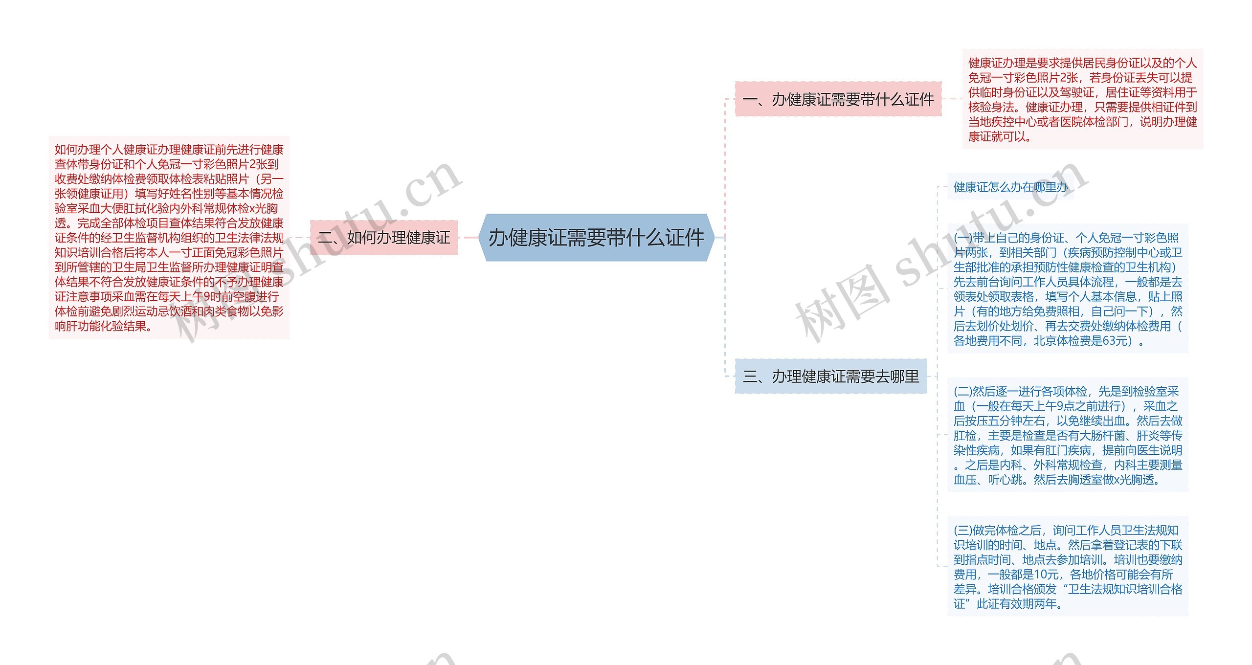 办健康证需要带什么证件思维导图