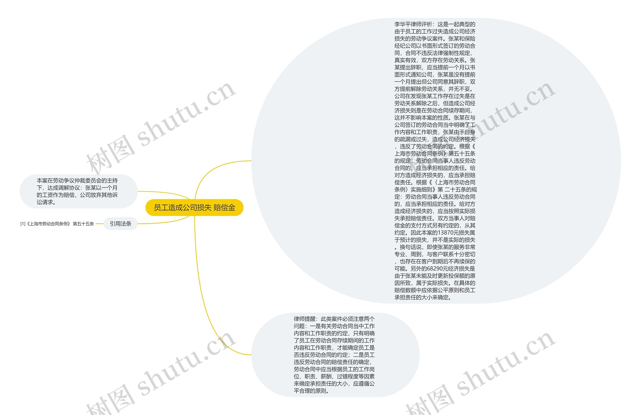 员工造成公司损失 赔偿金思维导图