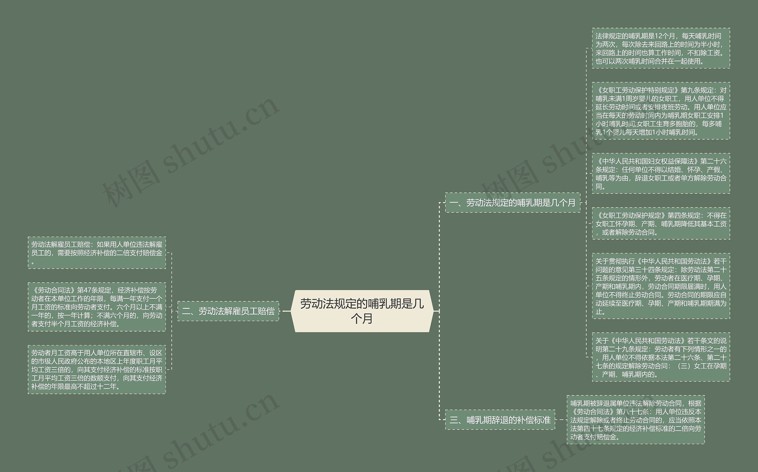 劳动法规定的哺乳期是几个月思维导图