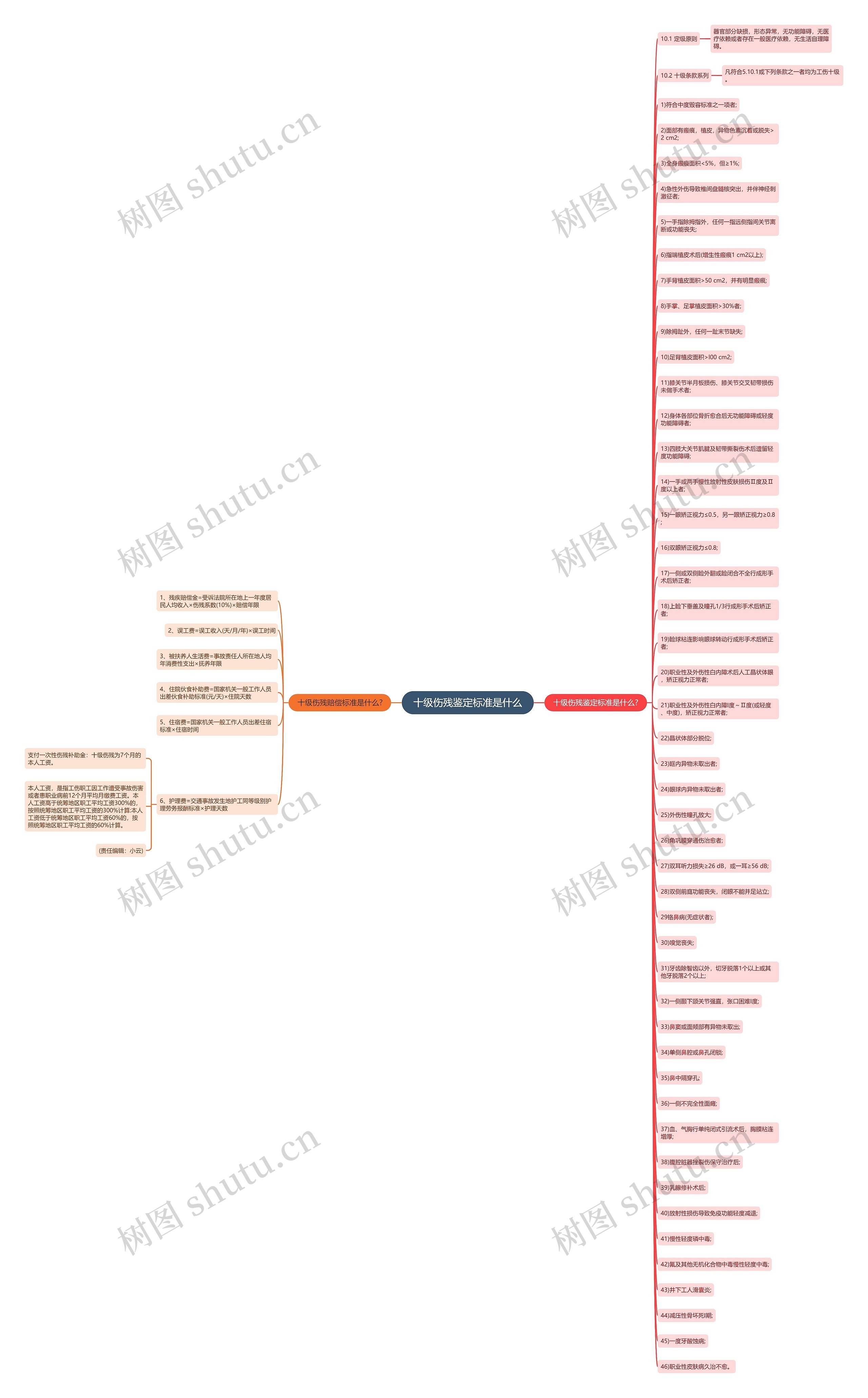 十级伤残鉴定标准是什么思维导图