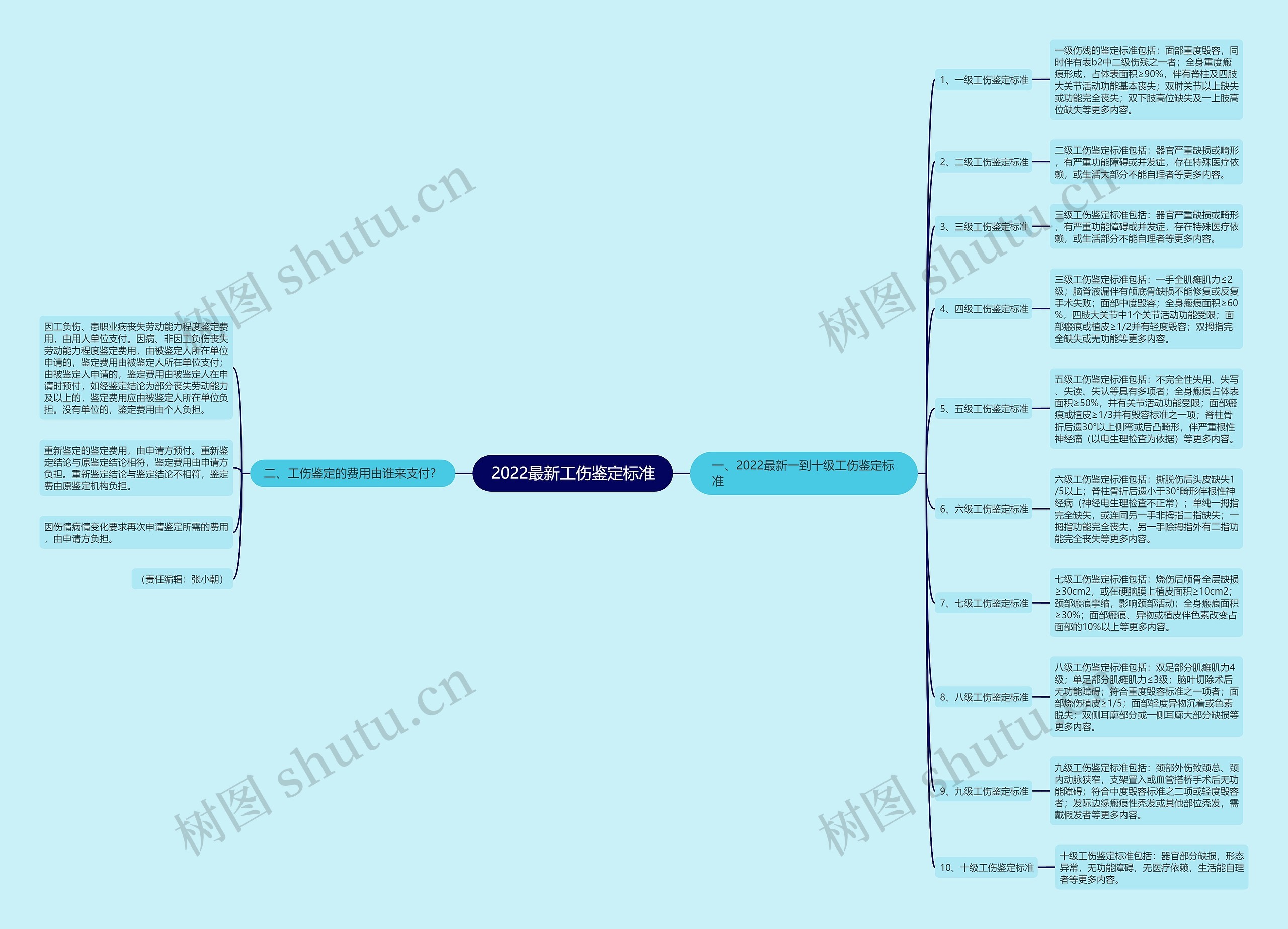 2022最新工伤鉴定标准思维导图
