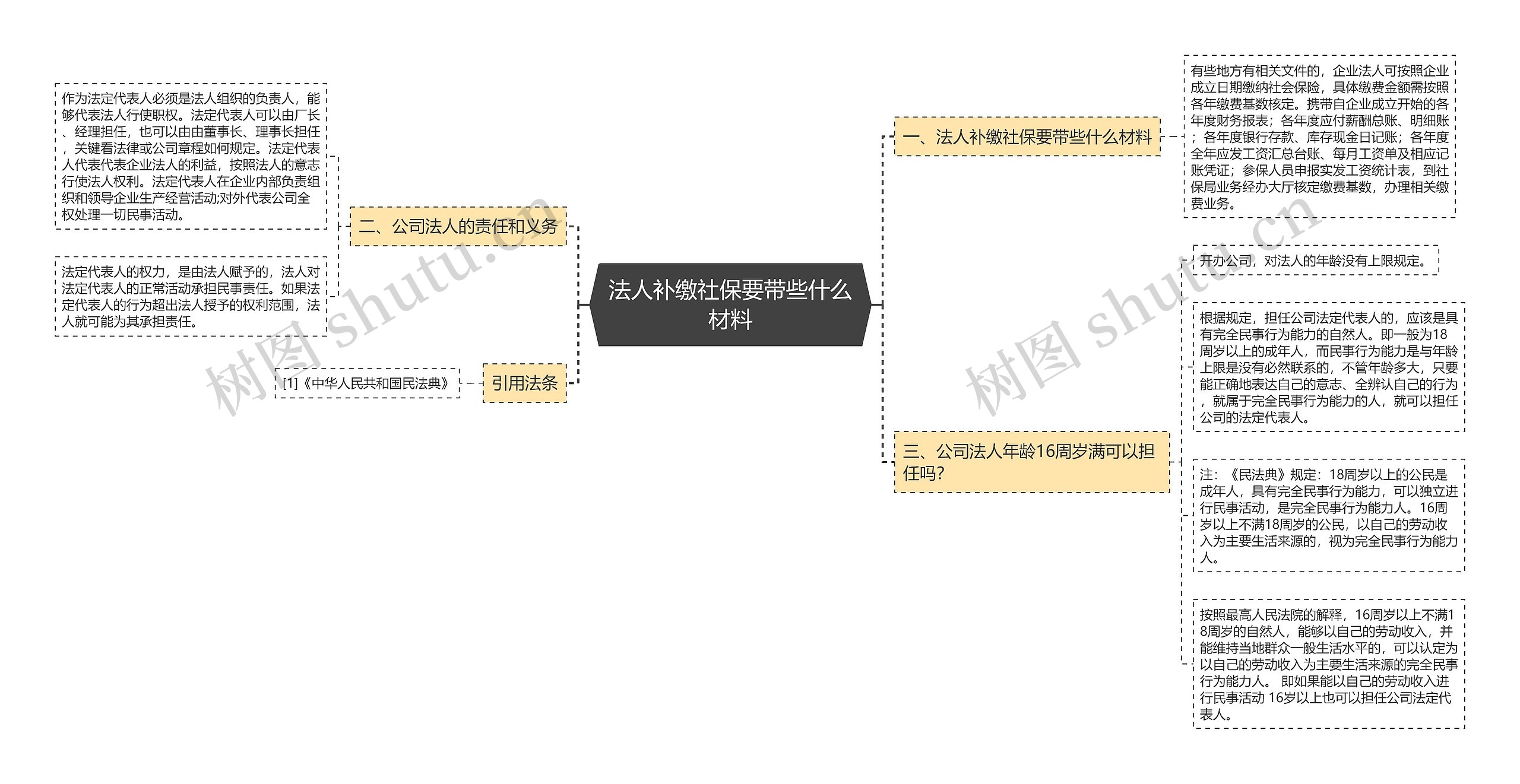 法人补缴社保要带些什么材料思维导图