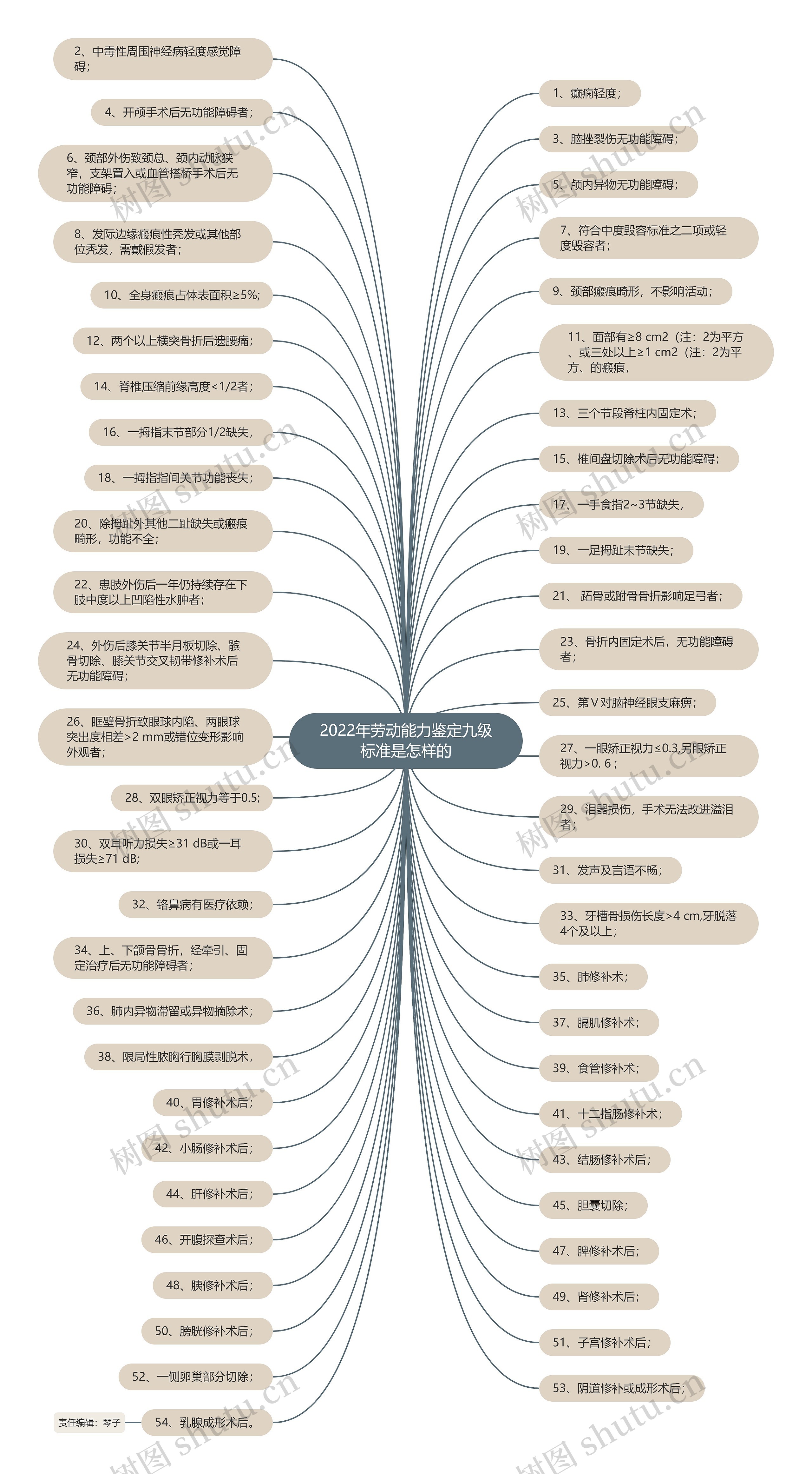 2022年劳动能力鉴定九级标准是怎样的思维导图