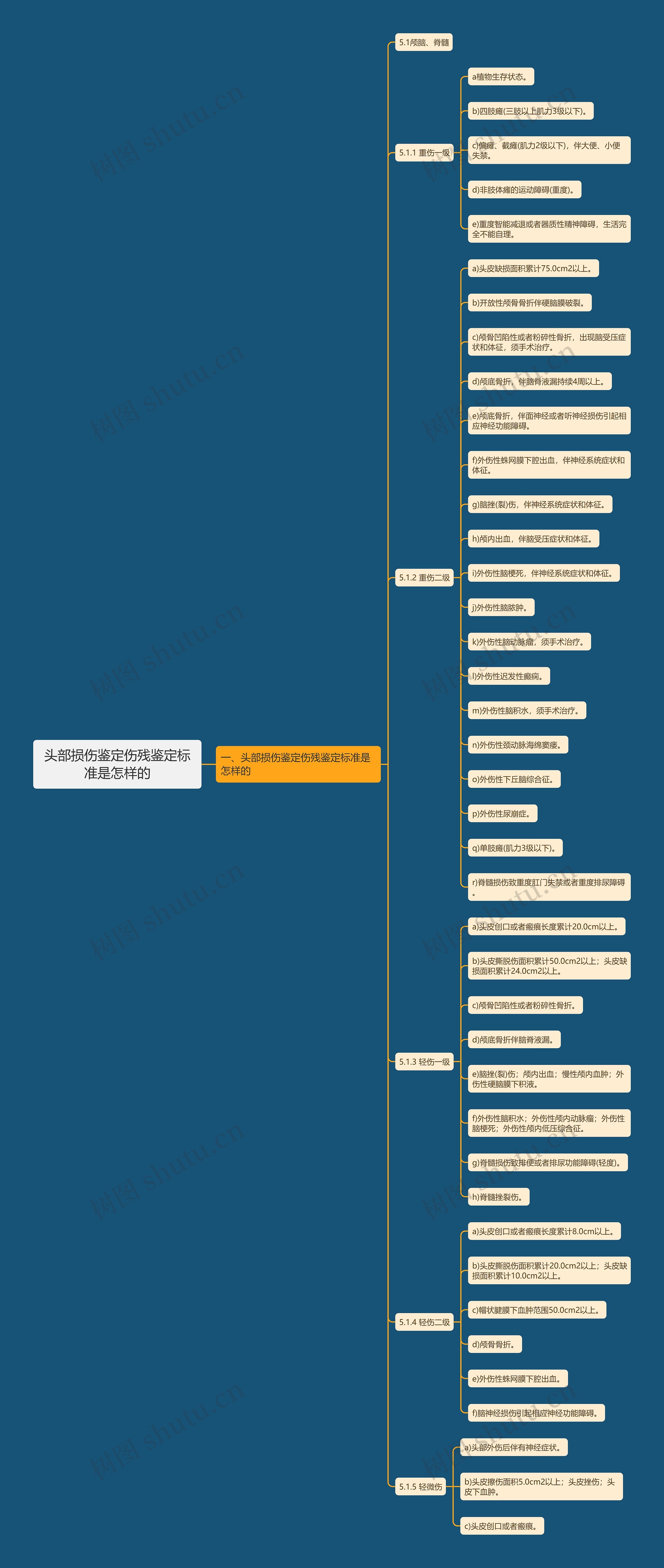 头部损伤鉴定伤残鉴定标准是怎样的思维导图
