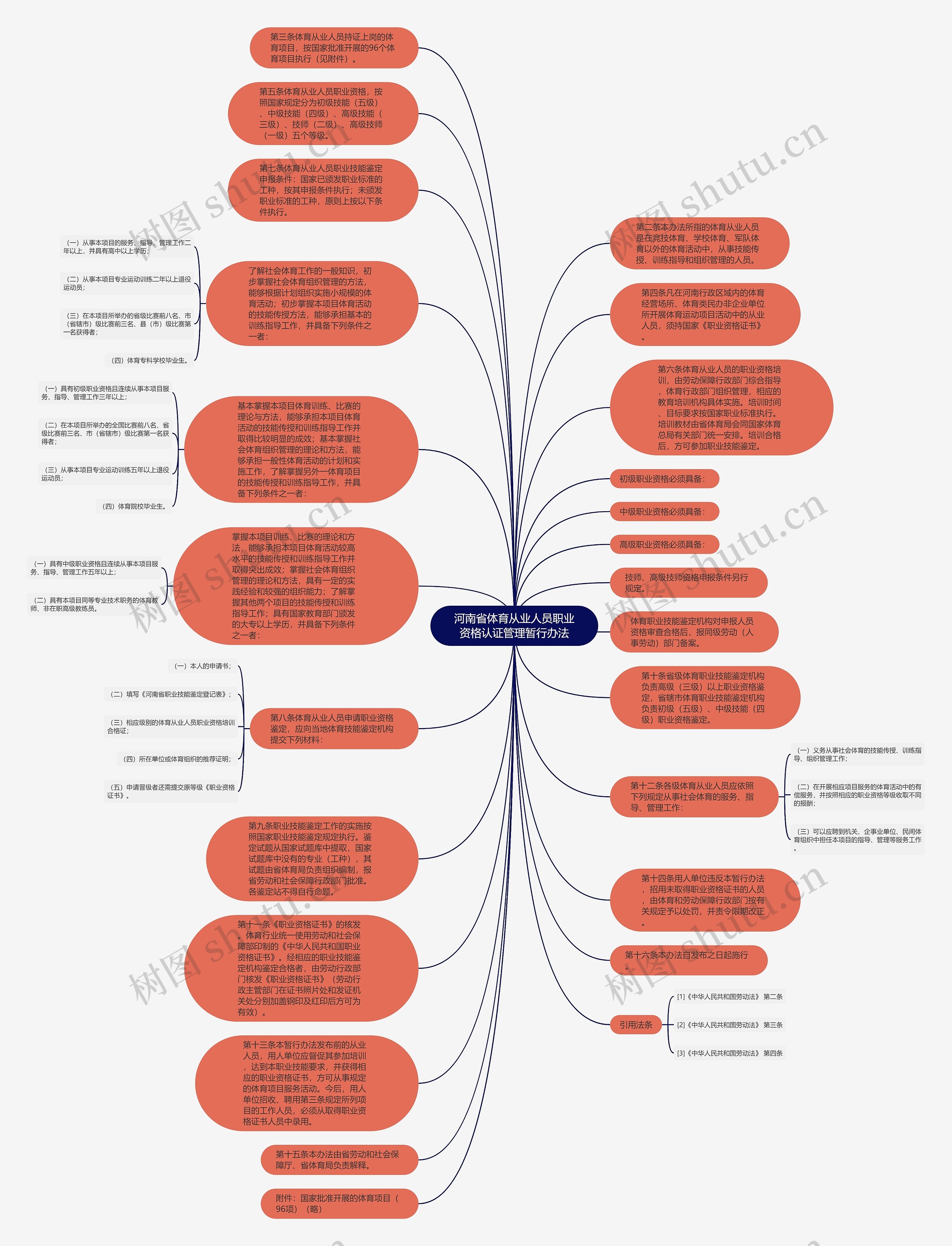 河南省体育从业人员职业资格认证管理暂行办法思维导图