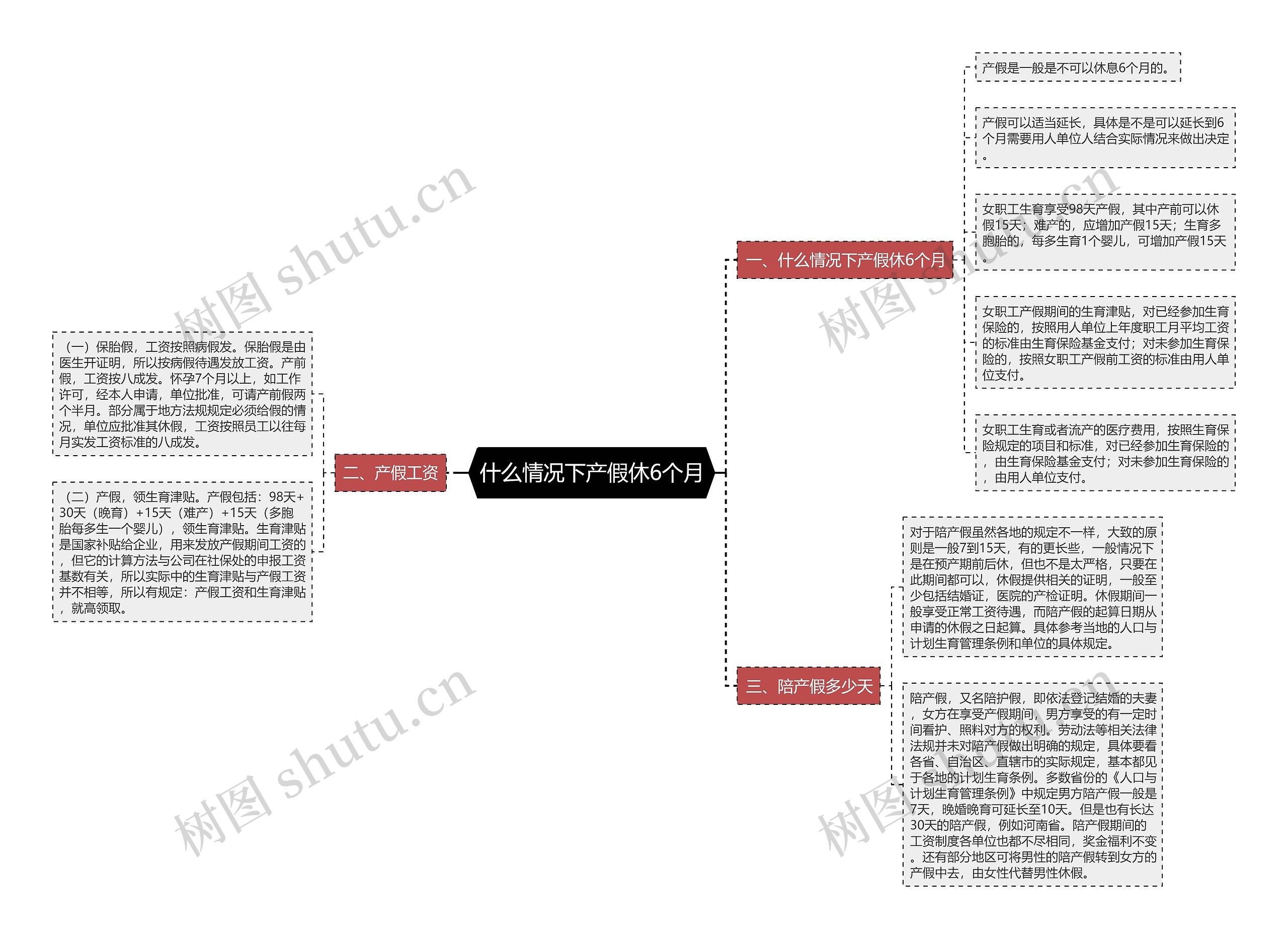 什么情况下产假休6个月思维导图