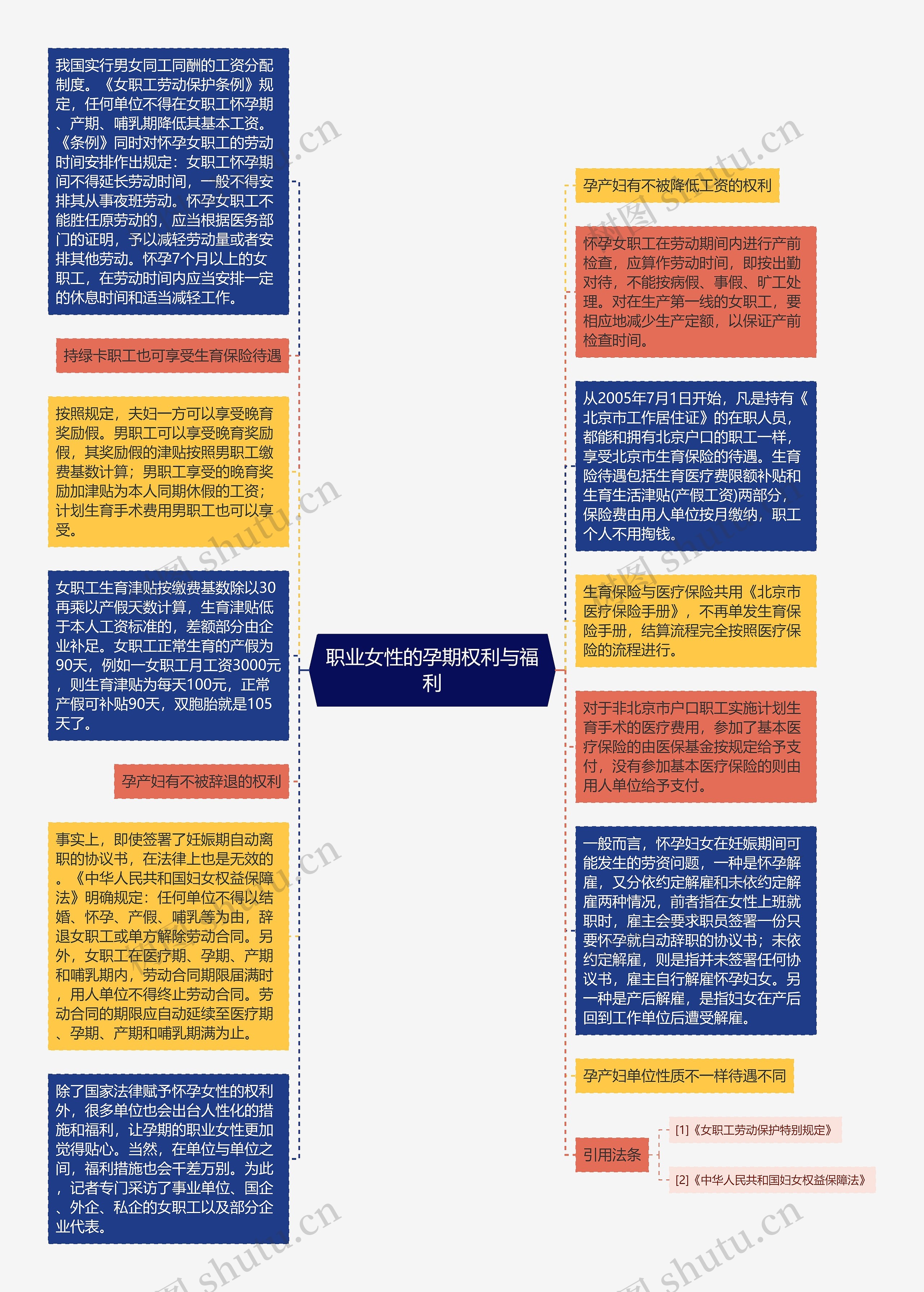 职业女性的孕期权利与福利