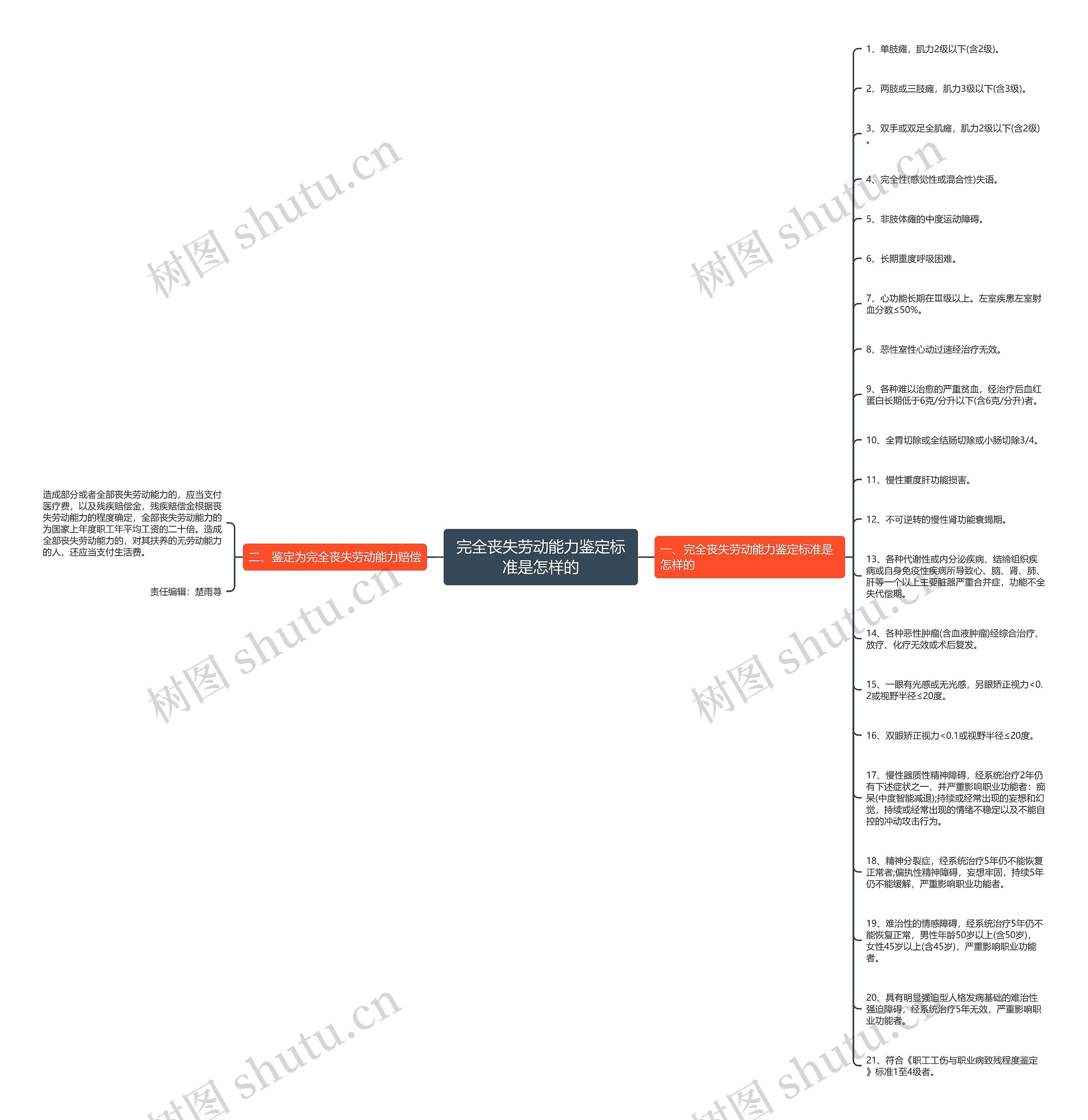 完全丧失劳动能力鉴定标准是怎样的思维导图