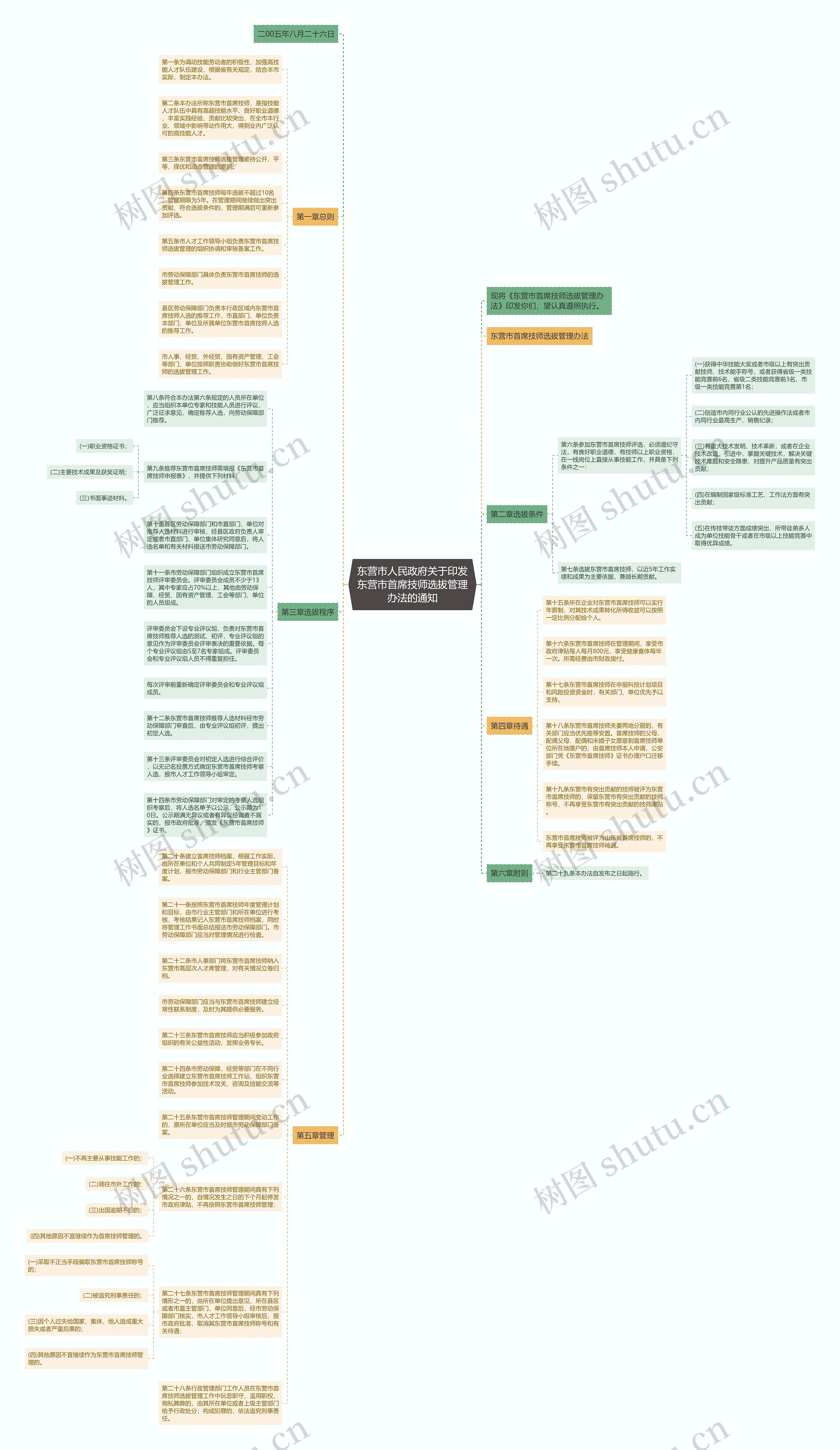 东营市人民政府关于印发东营市首席技师选拔管理办法的通知思维导图