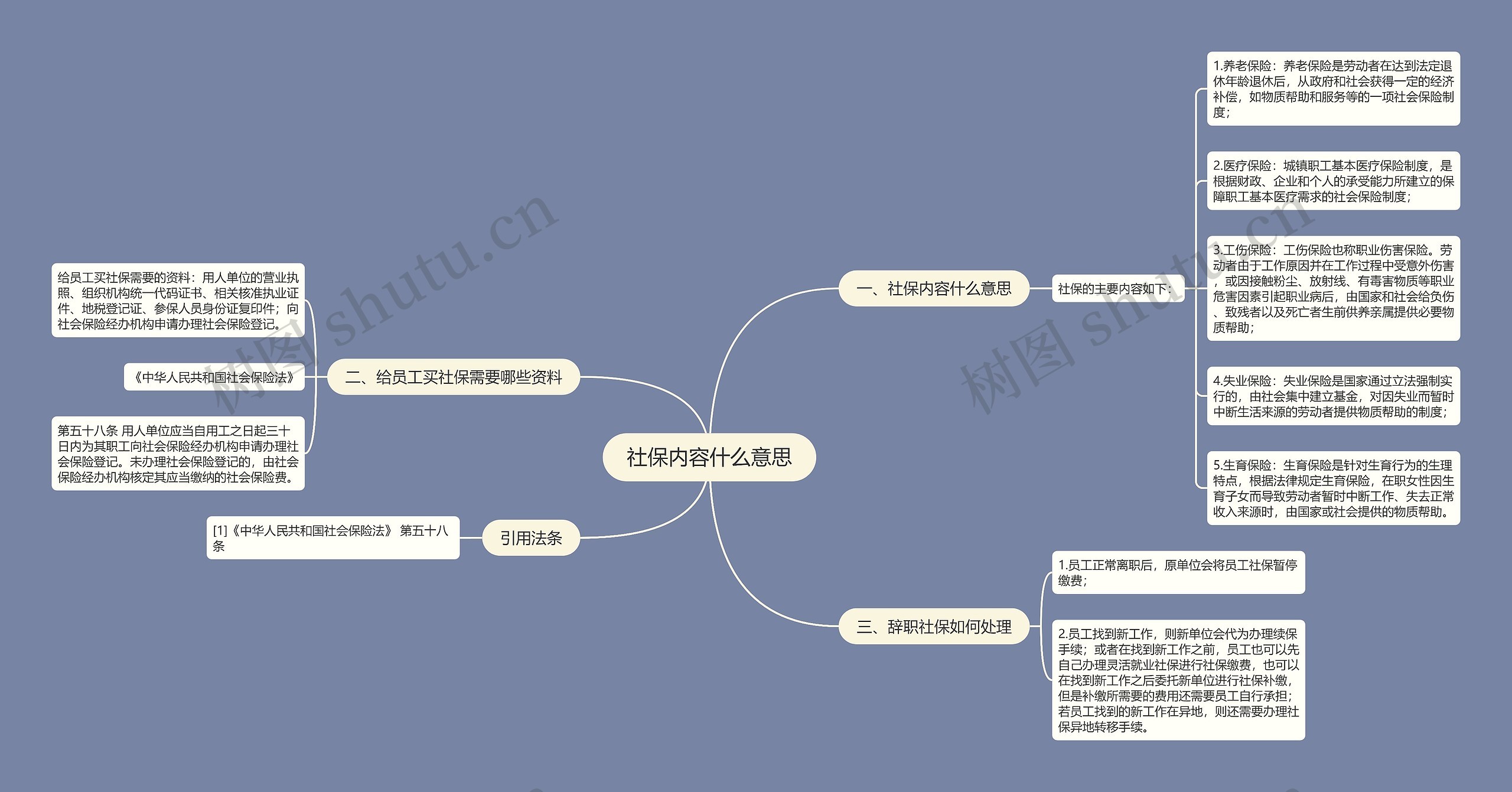 社保内容什么意思