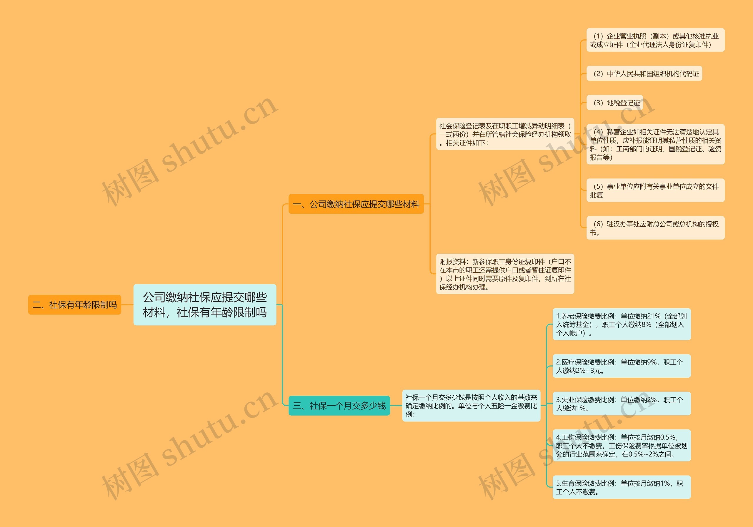 公司缴纳社保应提交哪些材料，社保有年龄限制吗