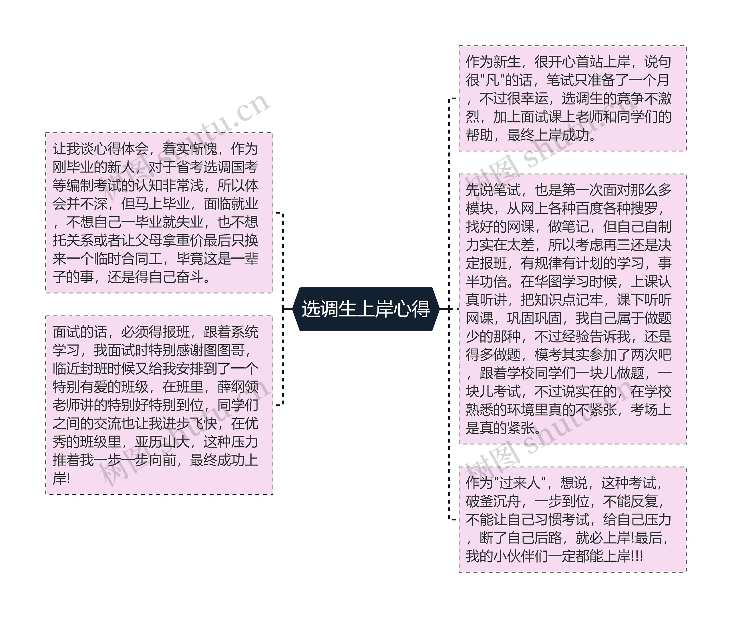 选调生上岸心得