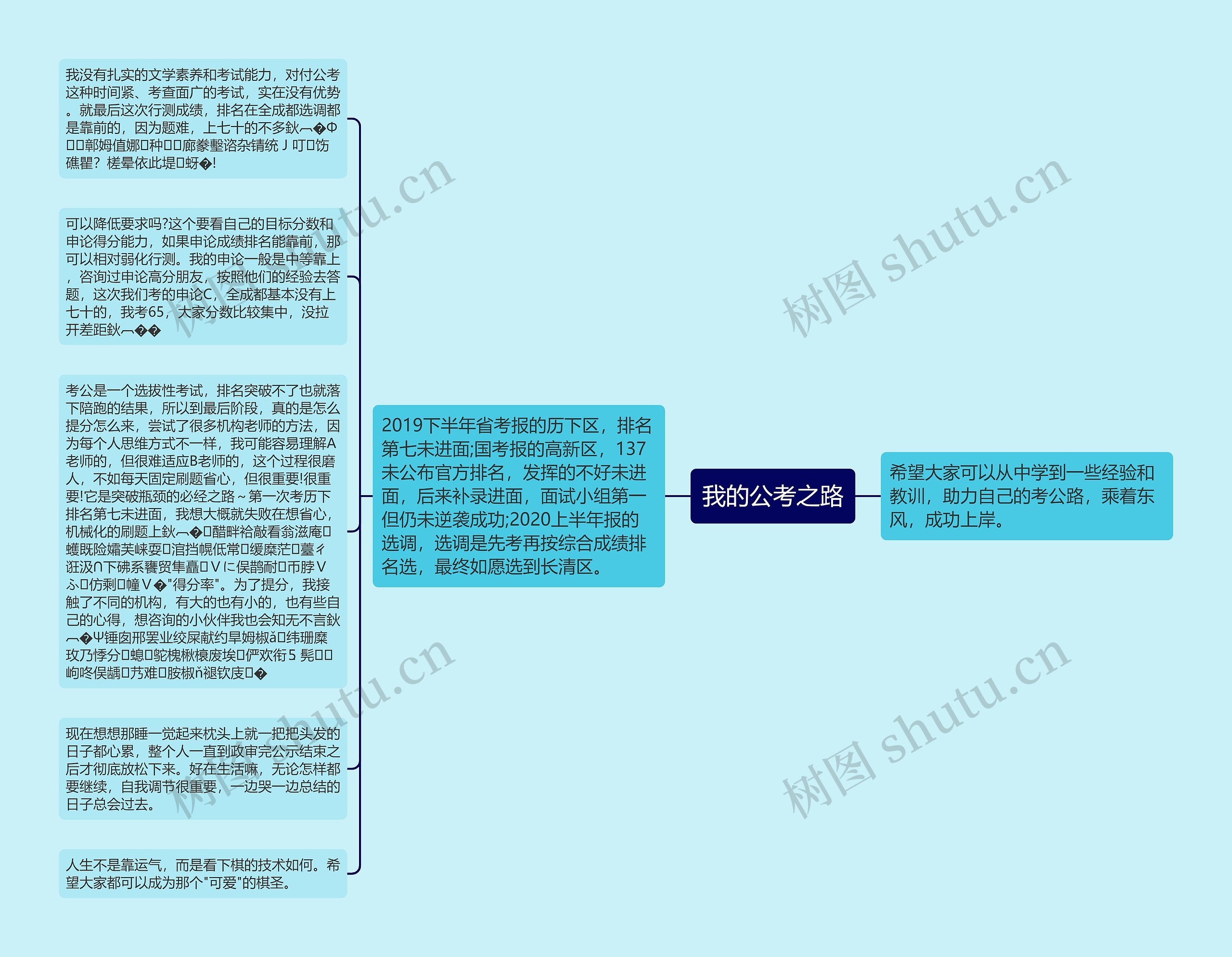 我的公考之路思维导图