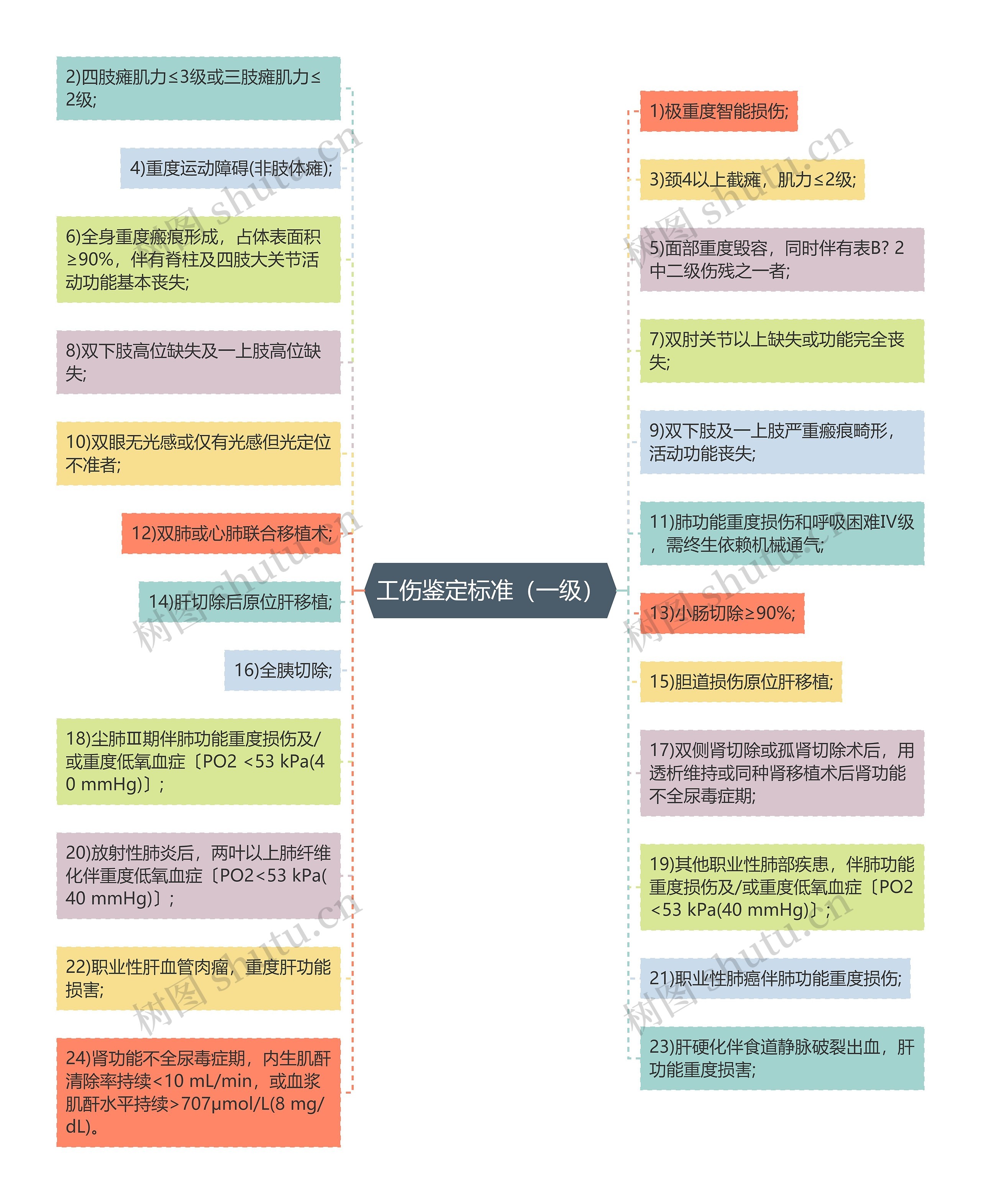 工伤鉴定标准（一级）思维导图