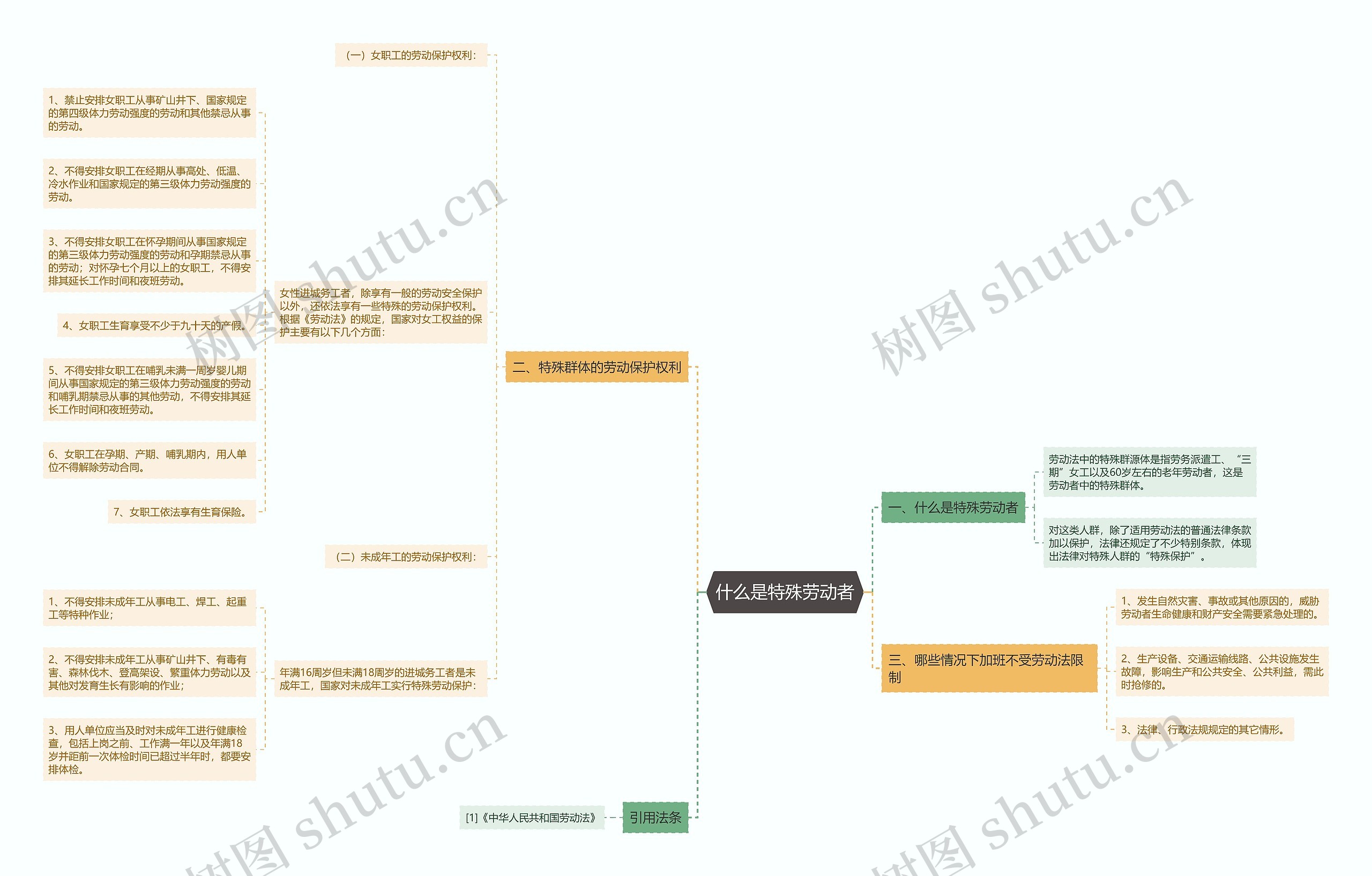 什么是特殊劳动者 什么是特殊劳动者