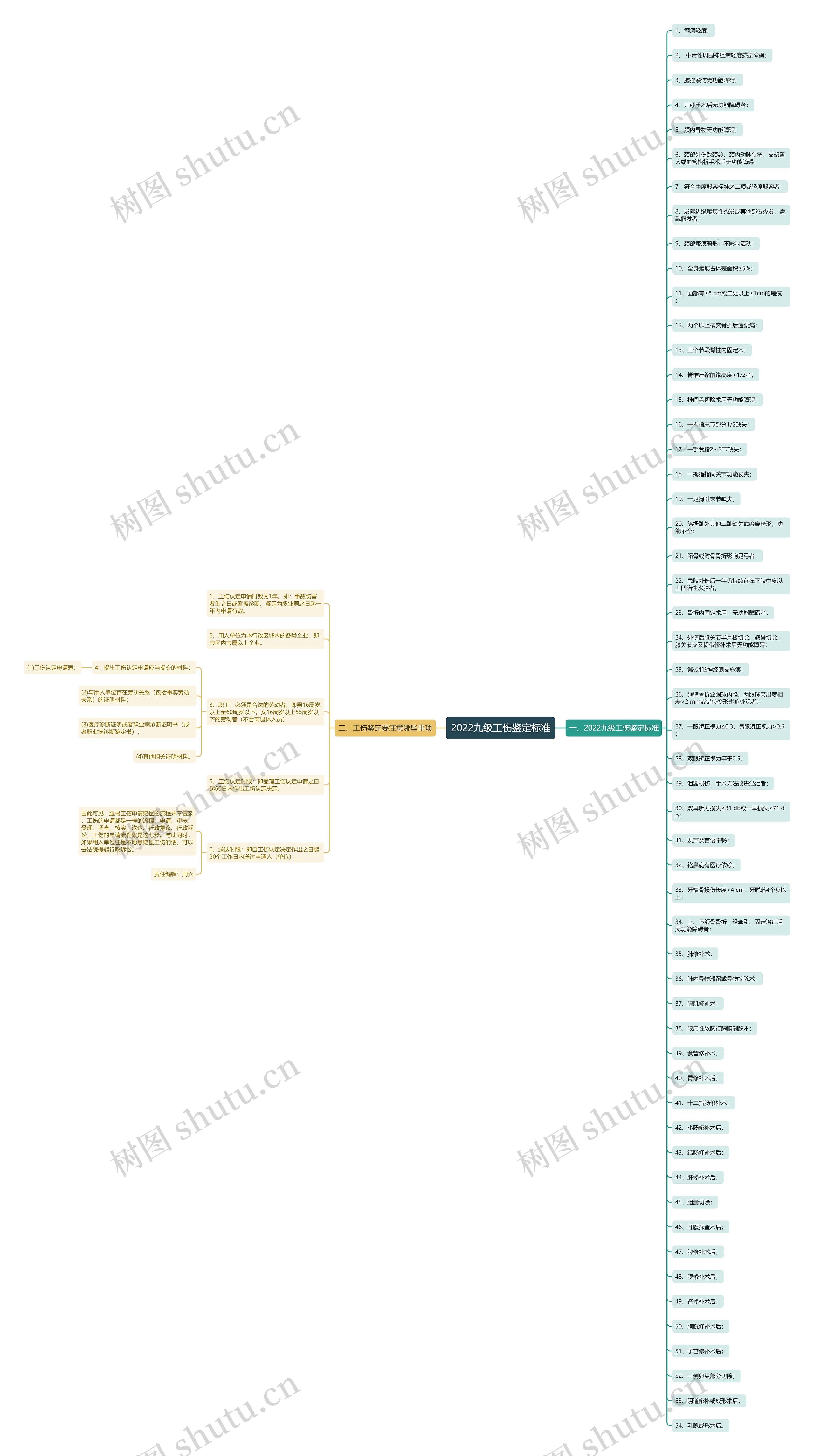 2022九级工伤鉴定标准思维导图