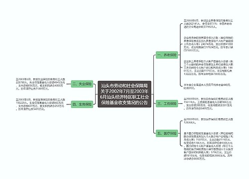 汕头市劳动和社会保障局关于2002年7月至2003年6月汕头经济特区职工社会保险基金收支情况的公告