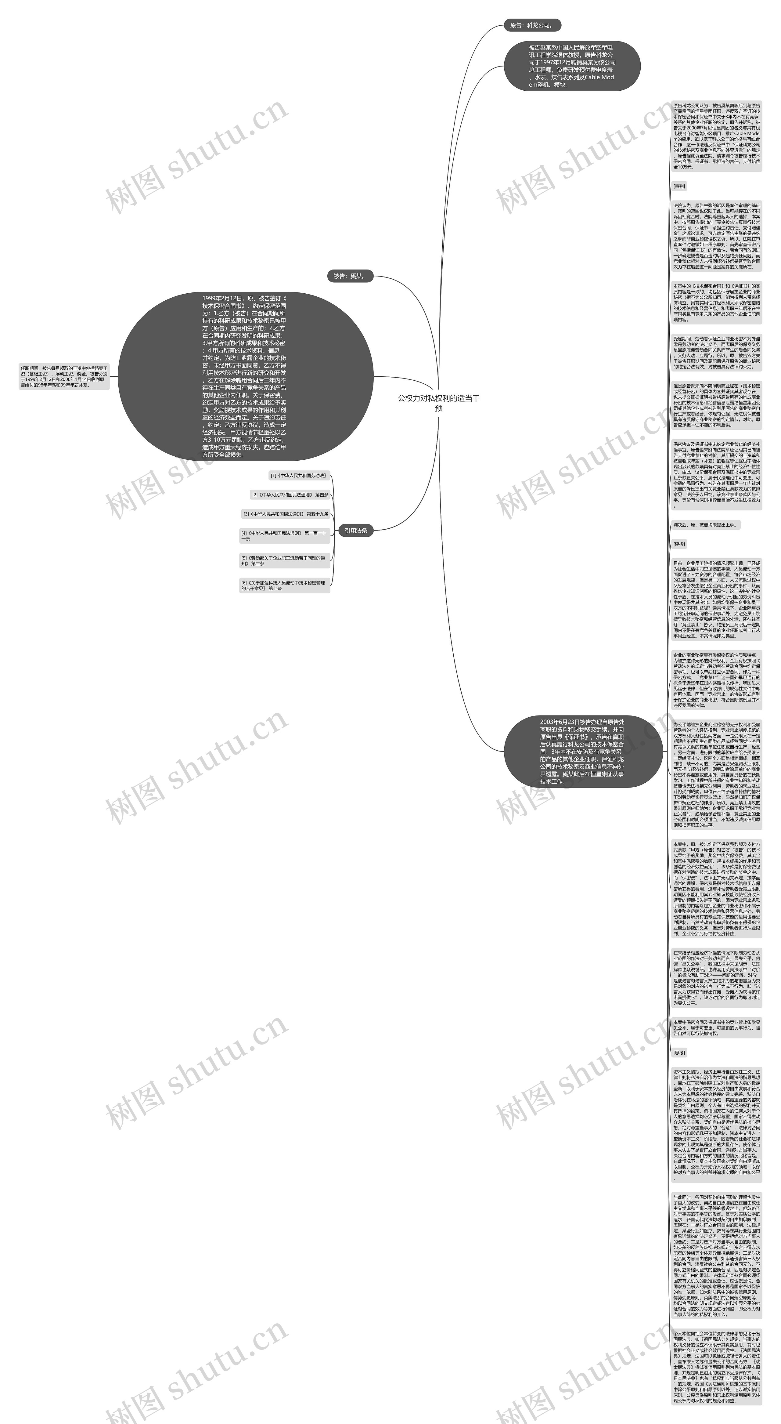 公权力对私权利的适当干预思维导图