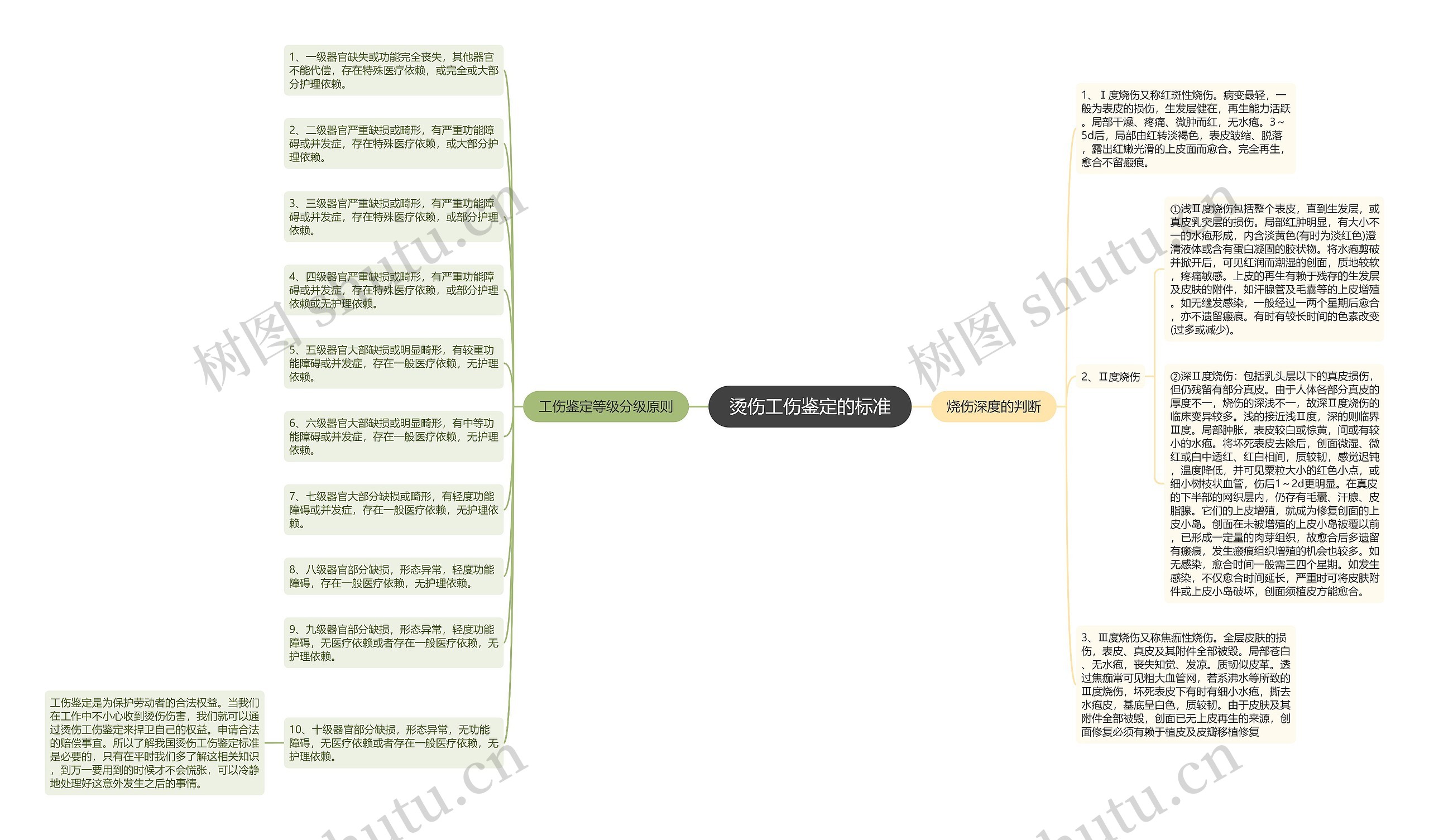 烫伤工伤鉴定的标准思维导图