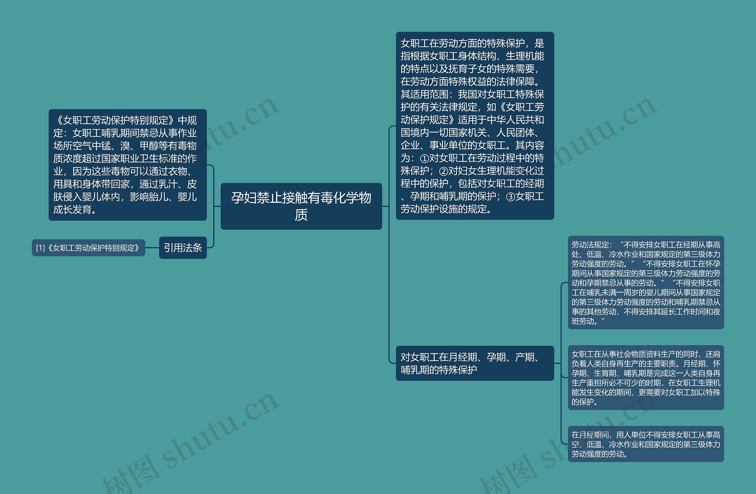 孕妇禁止接触有毒化学物质思维导图