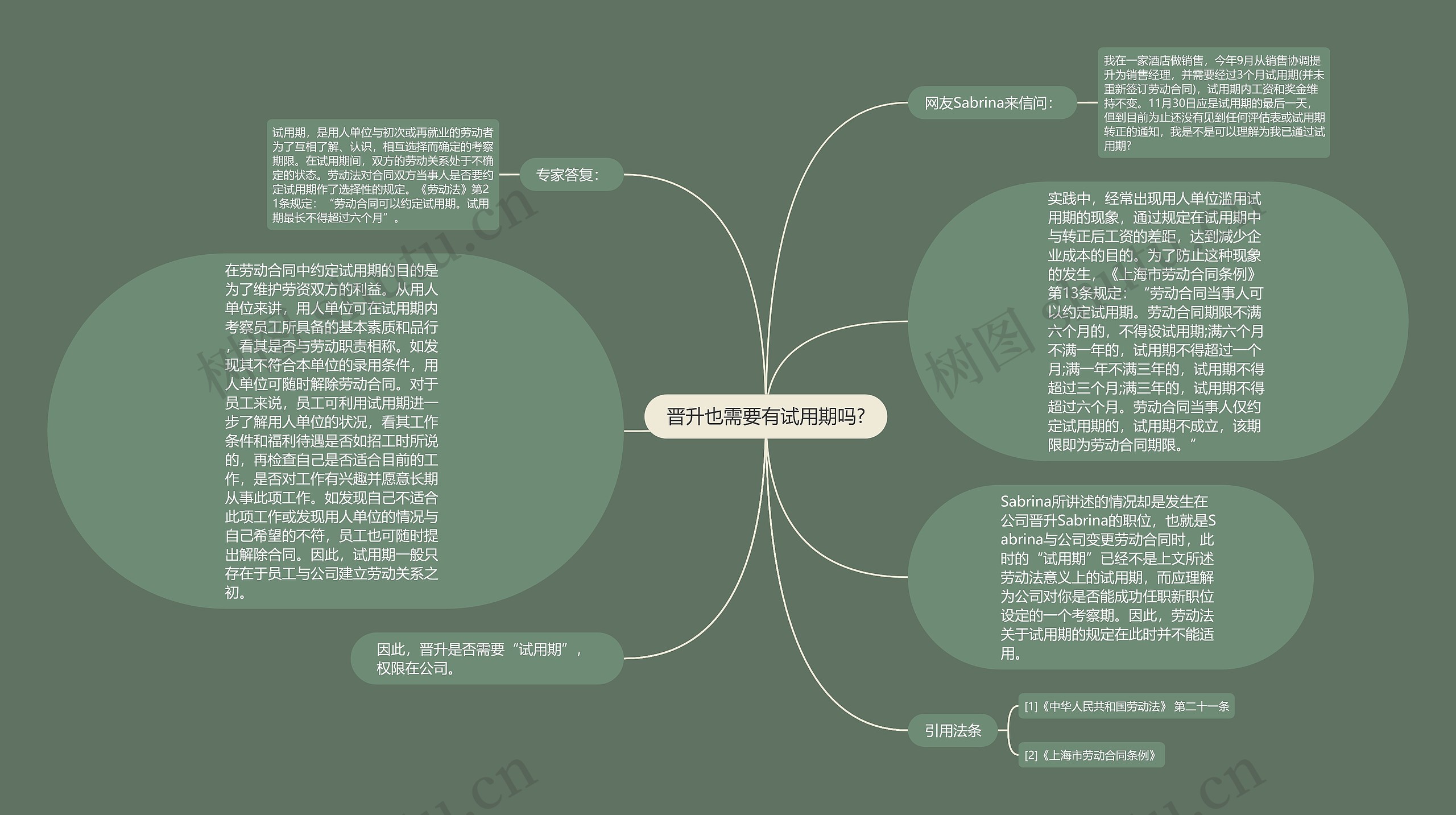 晋升也需要有试用期吗?思维导图