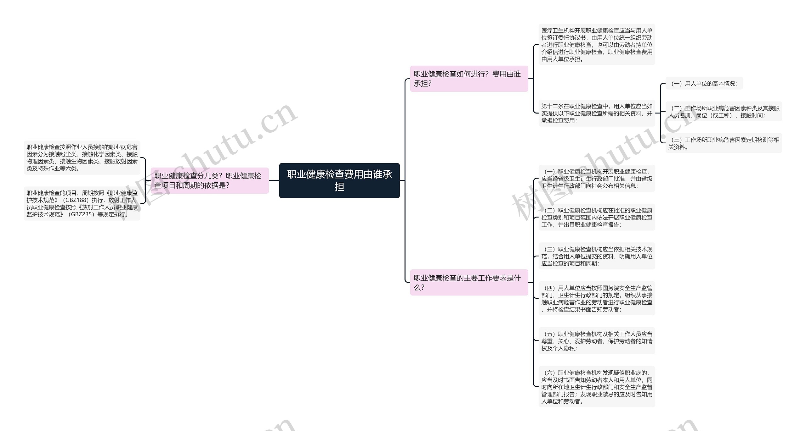 职业健康检查费用由谁承担